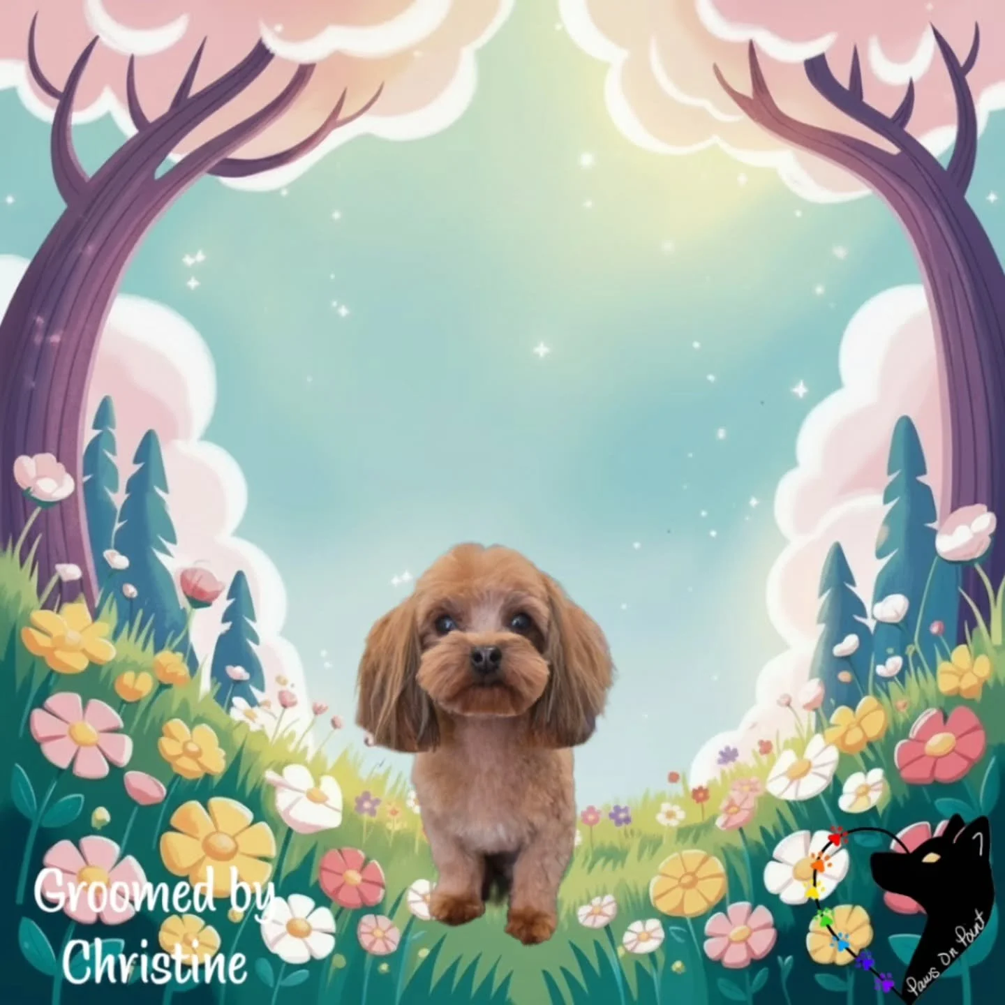 Easy online booking pawsonpointlv.com

#MayFreshness 🌸
#SpringPupGlowUp 🐾
#FreshlyFluffed ✨
#PamperedPupSeason 🌼
#PawsOnPointGrooming 💕