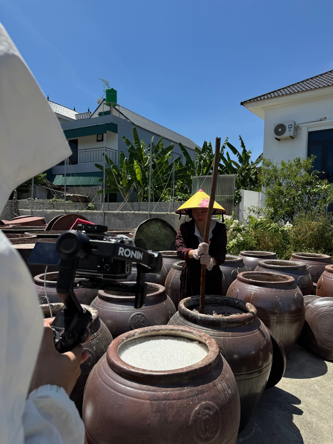ninh-tito-thanh-hoa-9