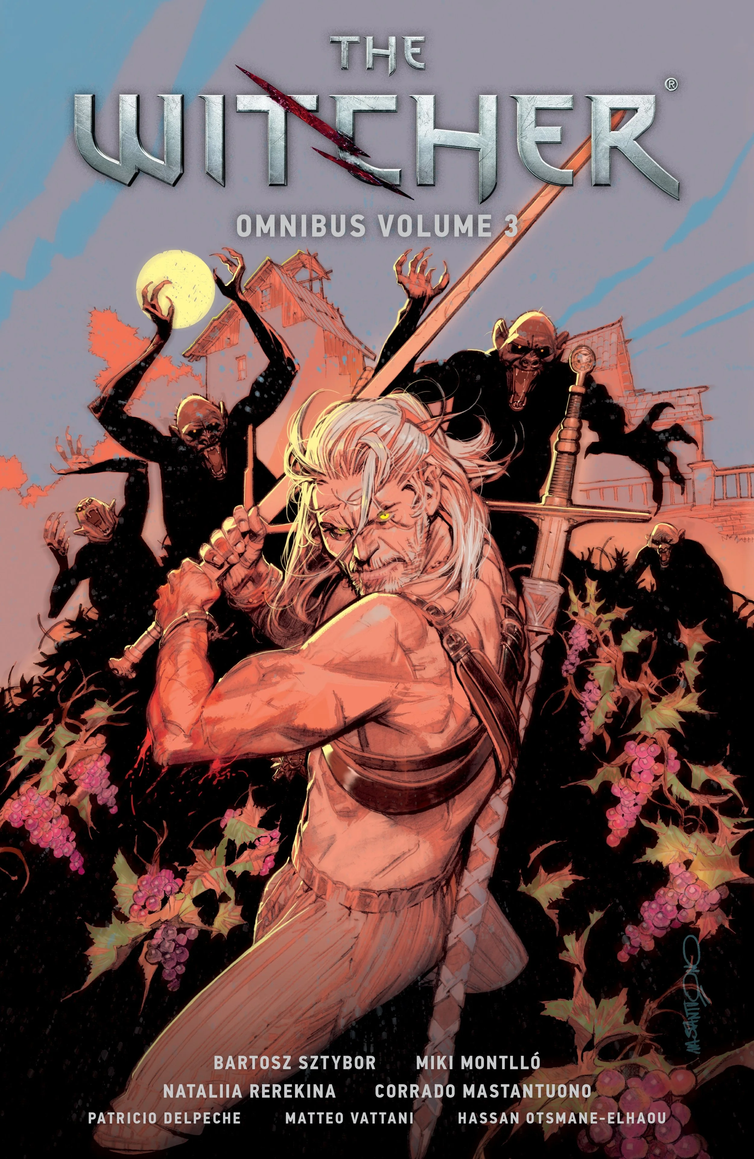 Book - The Witcher - Omnibus Vol. 3