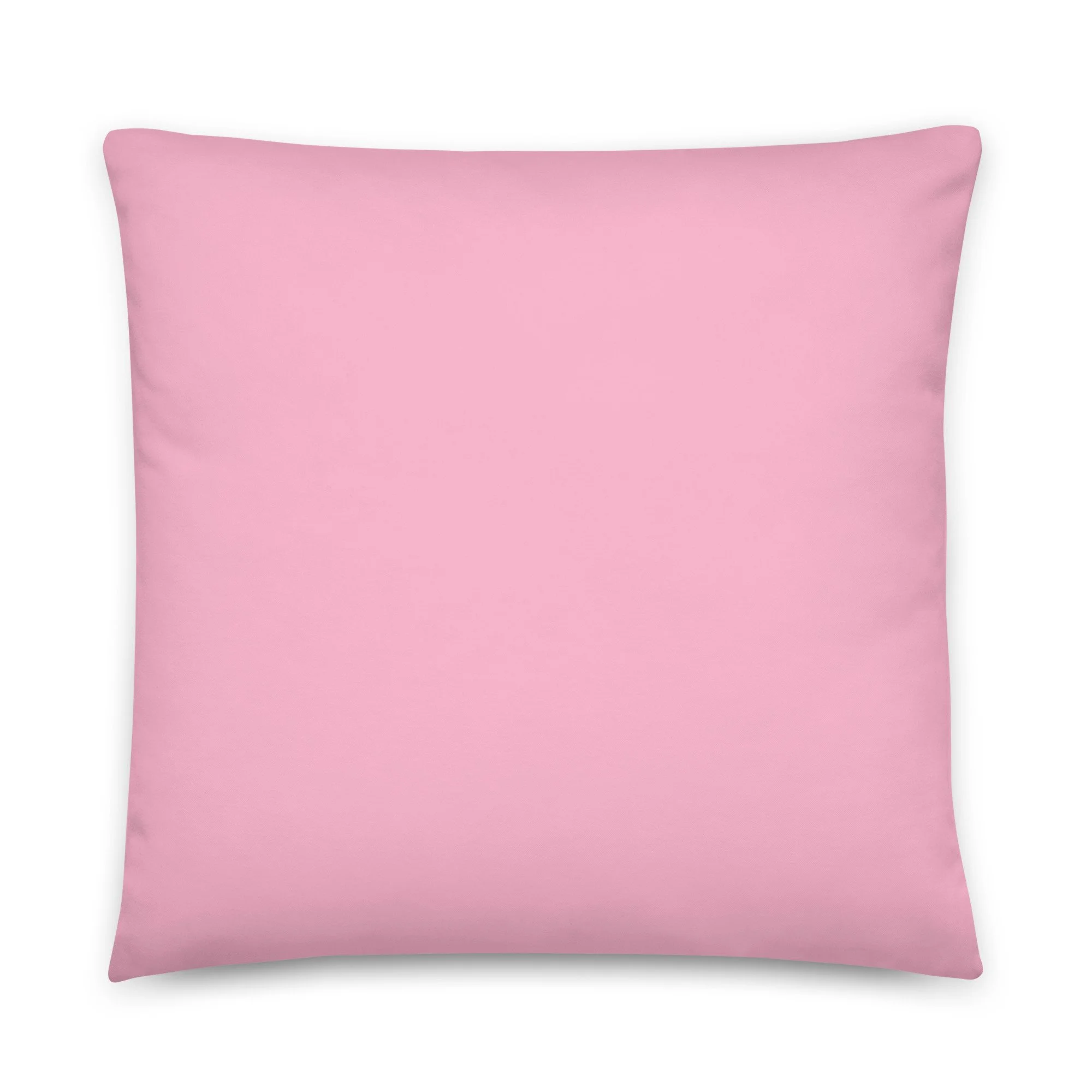 all-over-print-basic-pillow-22x22-back-698d0b59e1fff.jpg