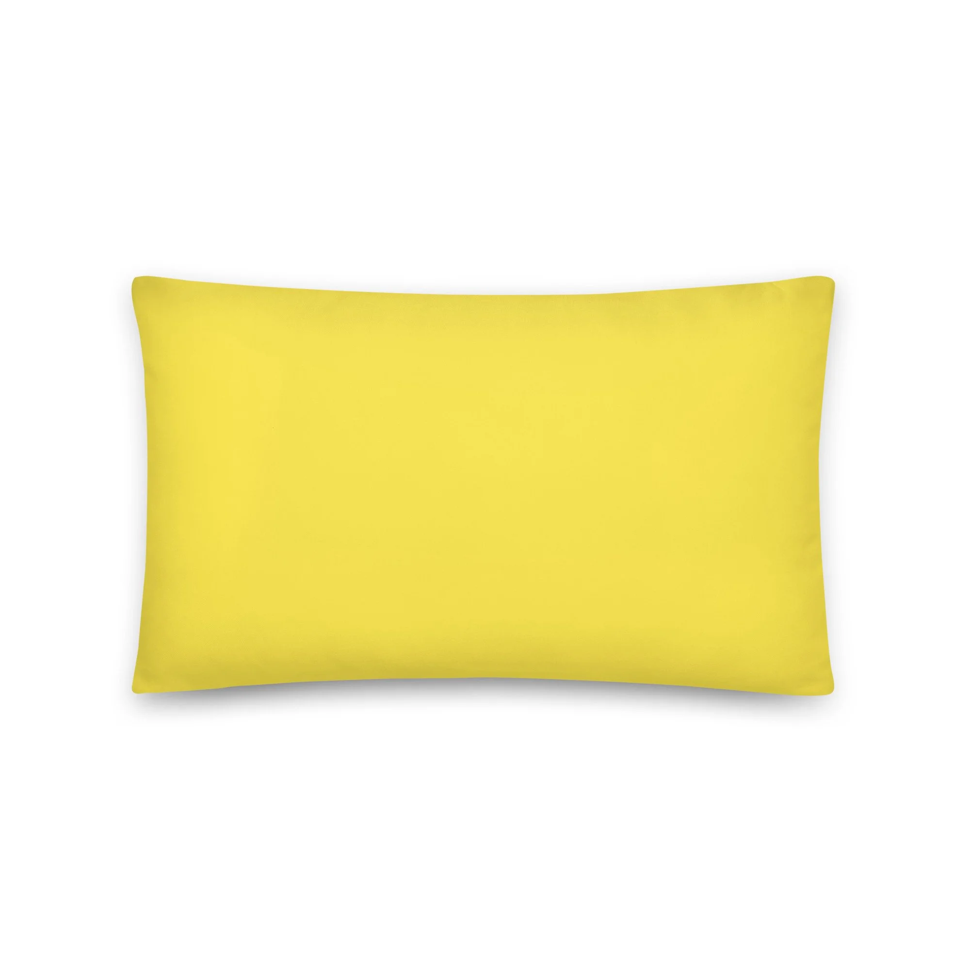 all-over-print-basic-pillow-20x12-back-698d0ba095bf4.jpg