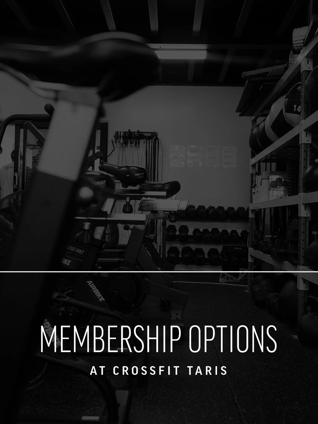 If you're not already a member of TARIS (we listen and we do not judge 😜), today's a good day for you.

We're actually on the hunt for new members. 👋🏼

The TARIS family is pretty bloody amazing and we're reasonably sure the friends of our current 