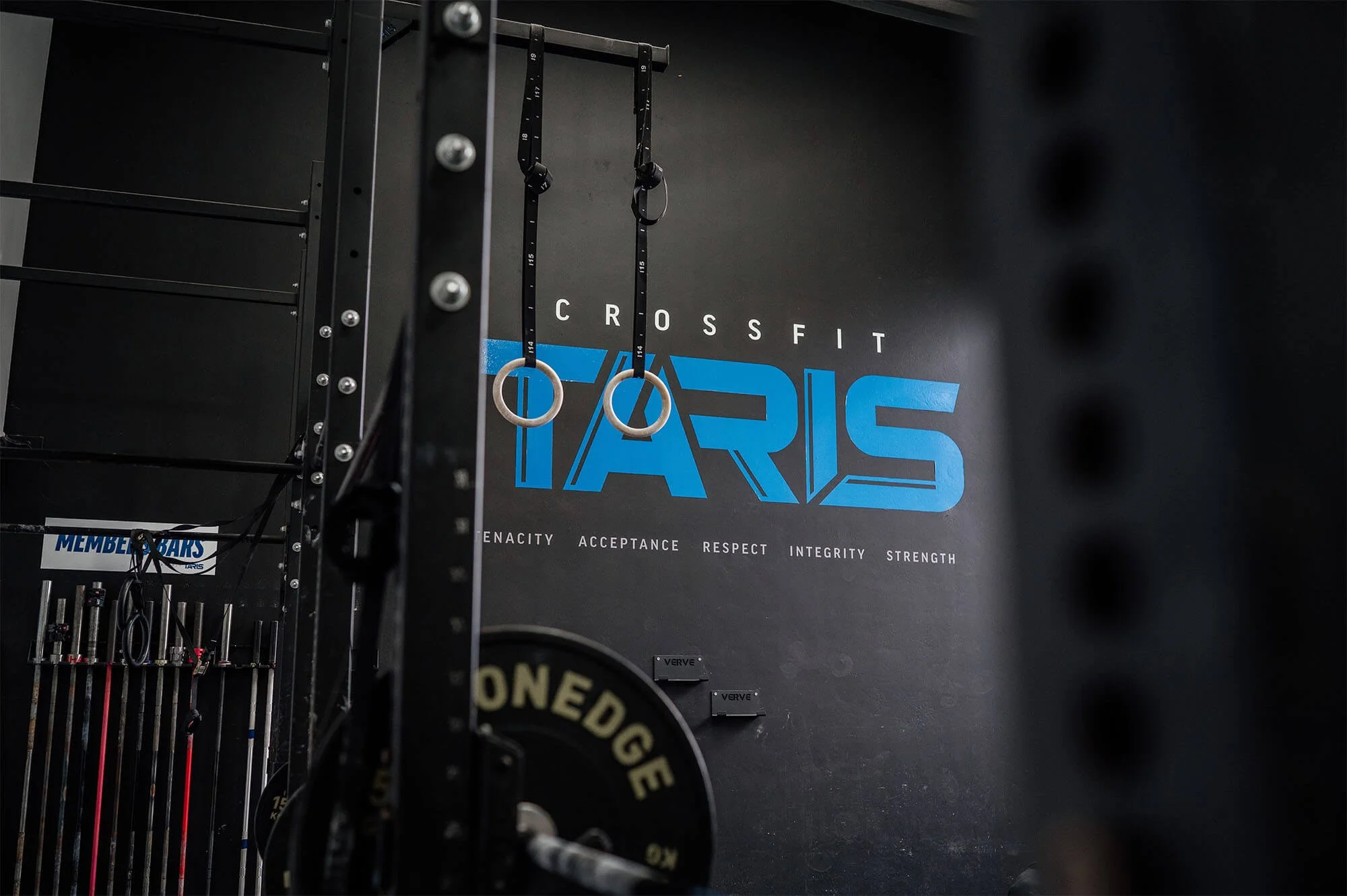 A photo of the main CrossFit TARIS logo feature wall, with members' barbells in the background and the main gymnastics rig in the foreground.