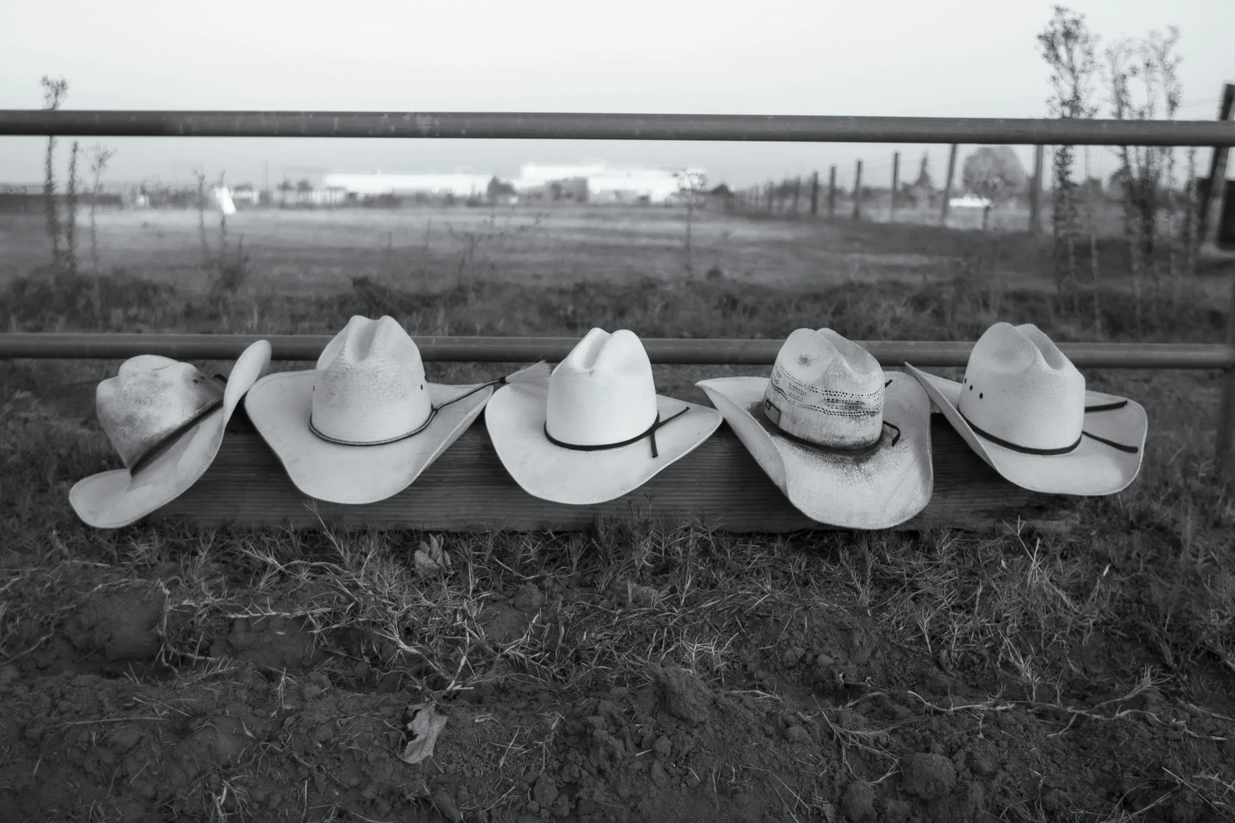 Line dance (FULLBOKAD) 