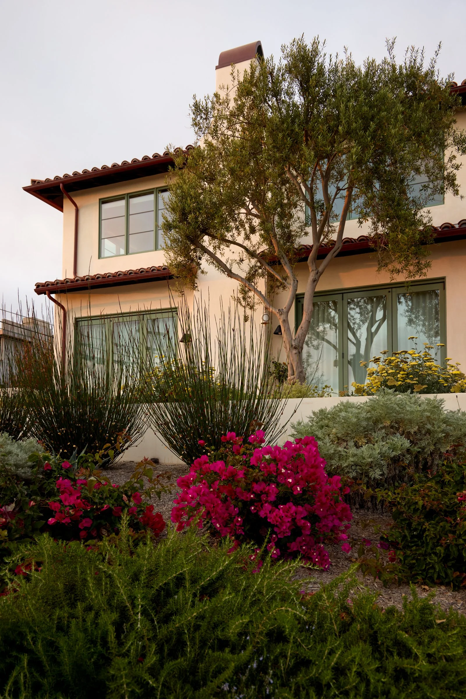 Bright_SanClemente_931.jpg