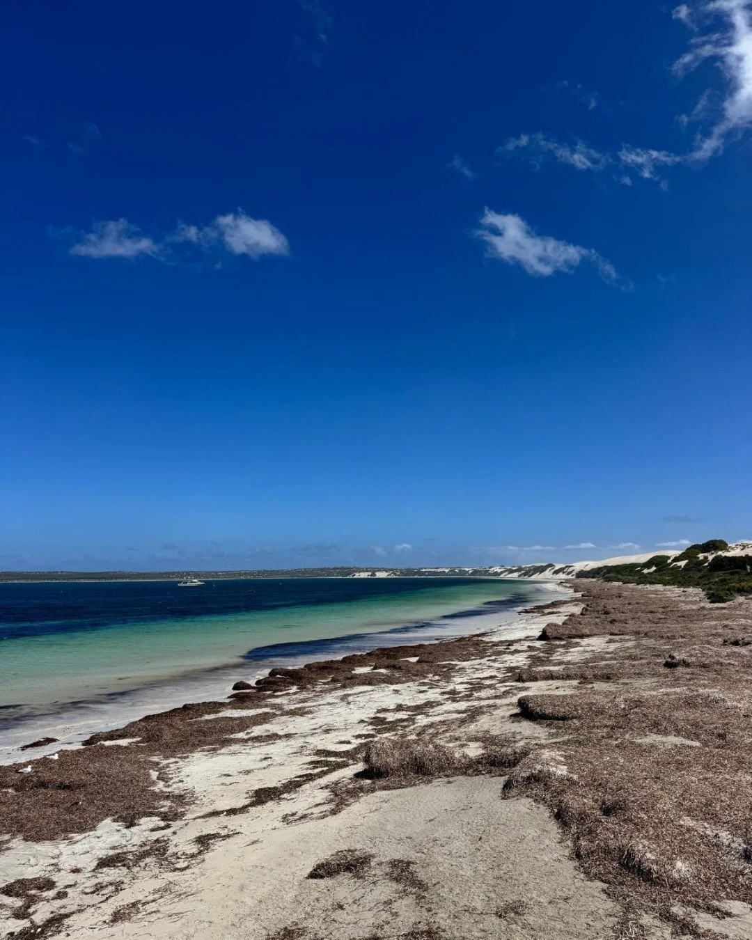 Sometimes we forget to live.

We get busy surviving, organising, pushing through, holding everything together.
And without noticing, the days become about getting through rather than being in.

These moments by the water remind me to pause.
To 