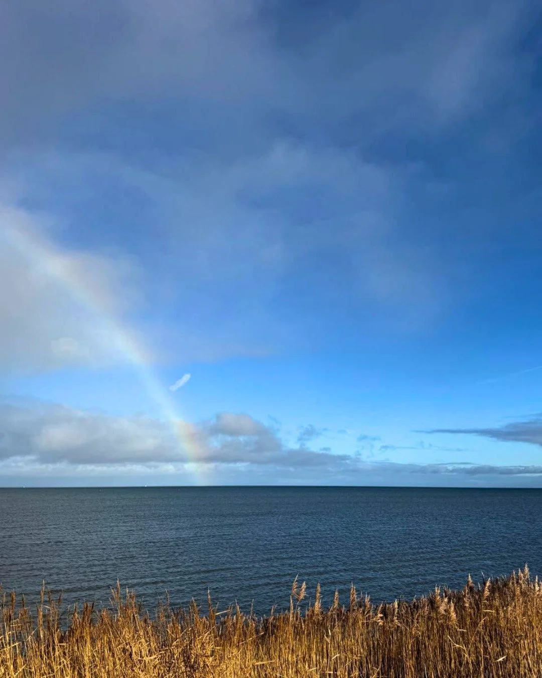 Maybe this year has already felt hard.
Maybe it hasn&rsquo;t unfolded the way you hoped it would.

When I feel like that, I look to nature.
The way the sky keeps opening.
The way the sea keeps breathing in and out.
The way light appears, quietl