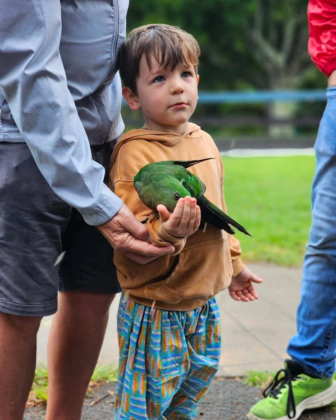 Spending time with animals always reminds me that nature is one of the greatest artists of all.

The colours, the patterns, the movement, the personalities. Every creature feels like its own small masterpiece. A frog glowing green against the fores
