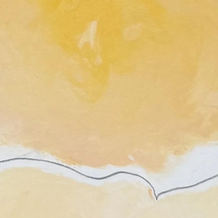 Morning sun detail.jpeg