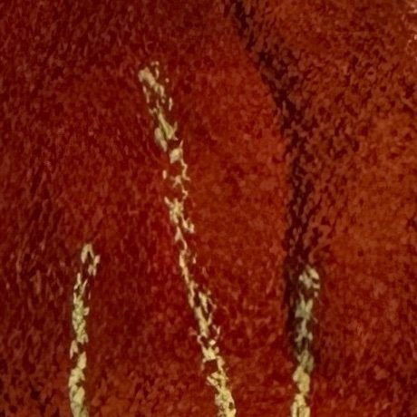 The country I chose detail 2.jpeg