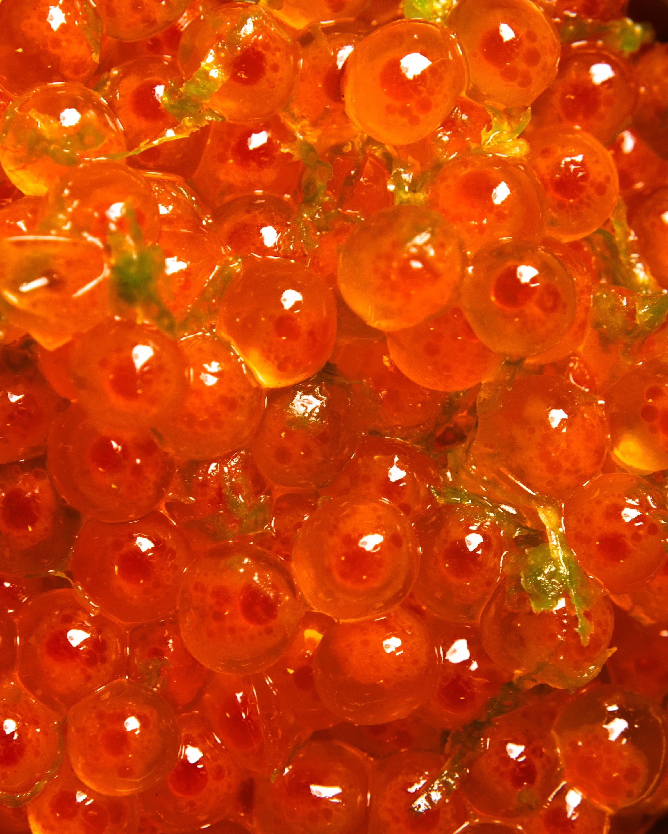 Omakase-papi-texture-3.jpg