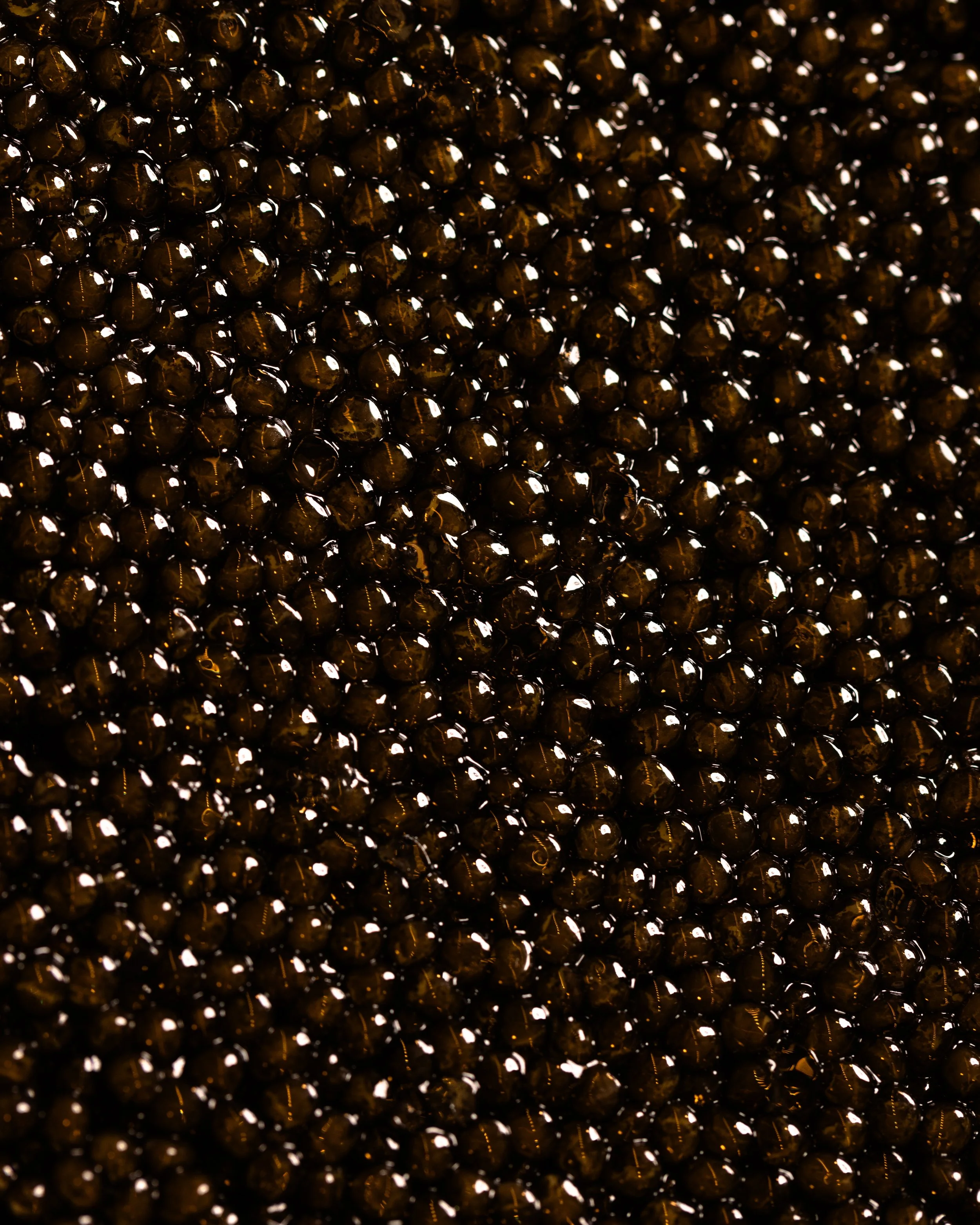 Omakase-papi-texture-4.jpg