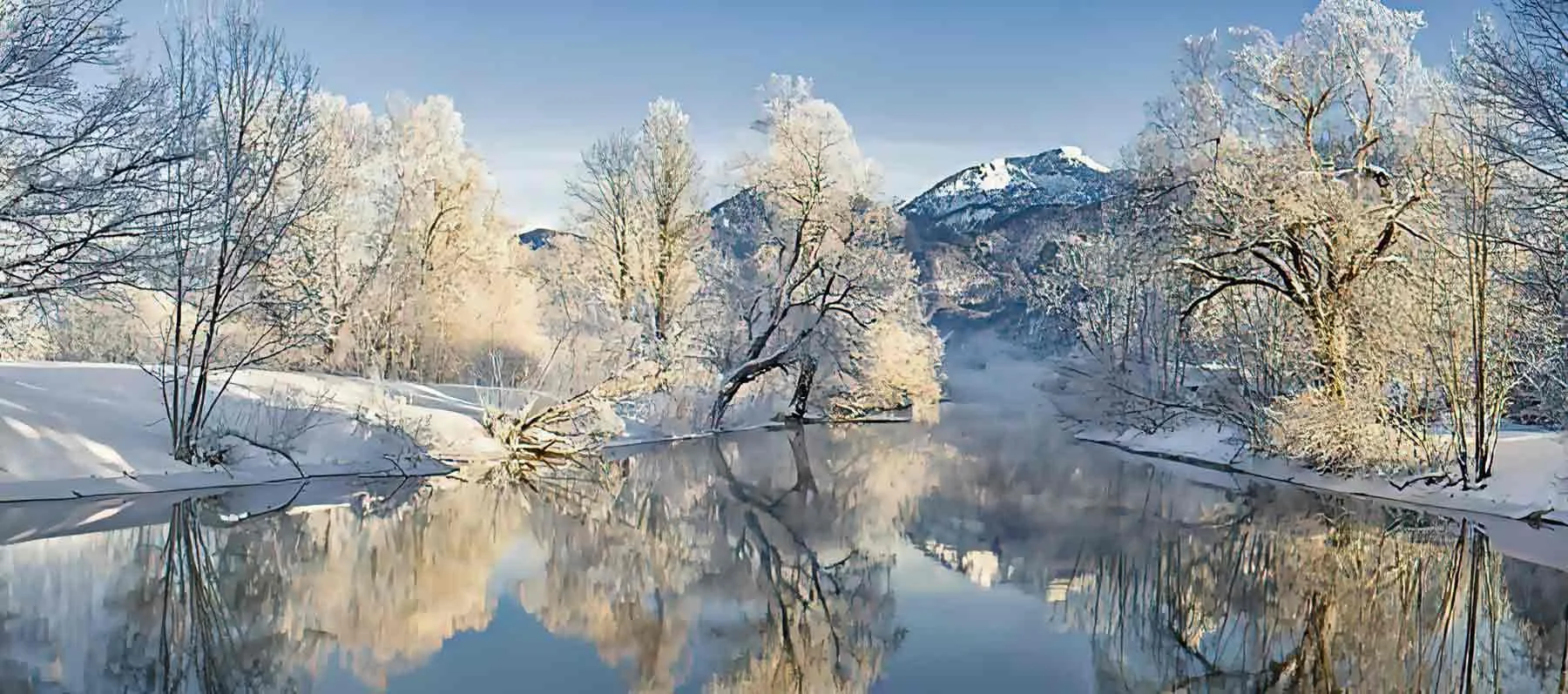 Winter Landscape
