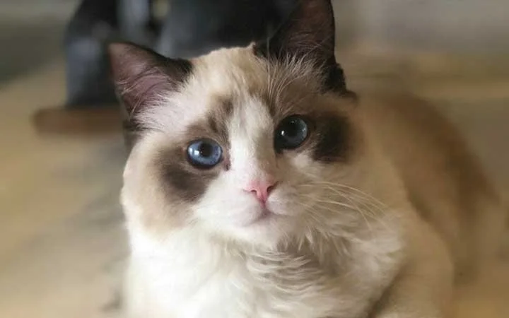 Me!