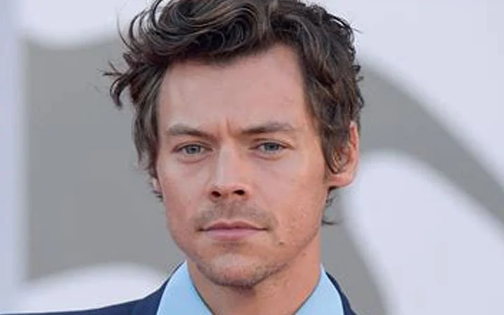 Harry Styles - Fine Line