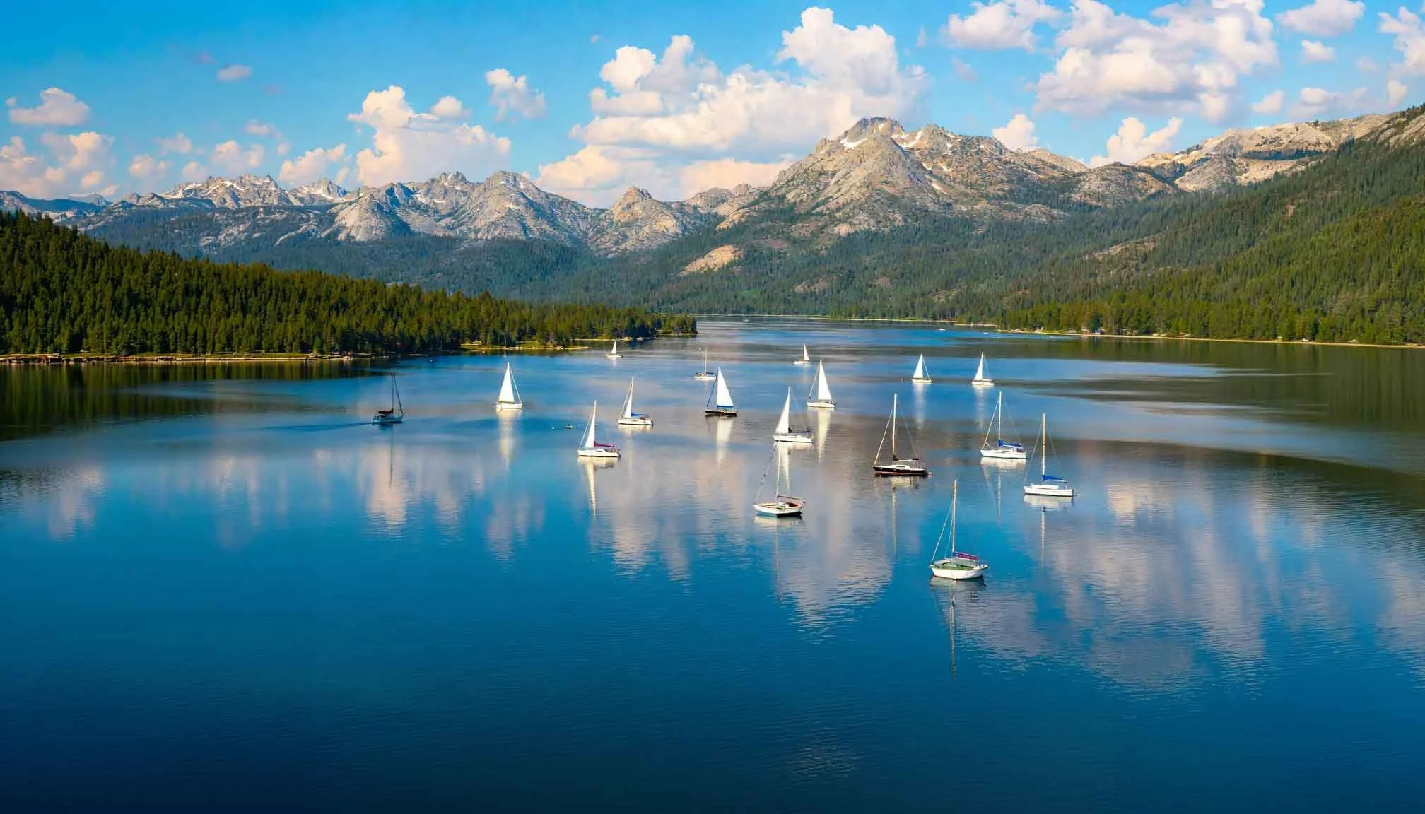 Summer at the Lake
