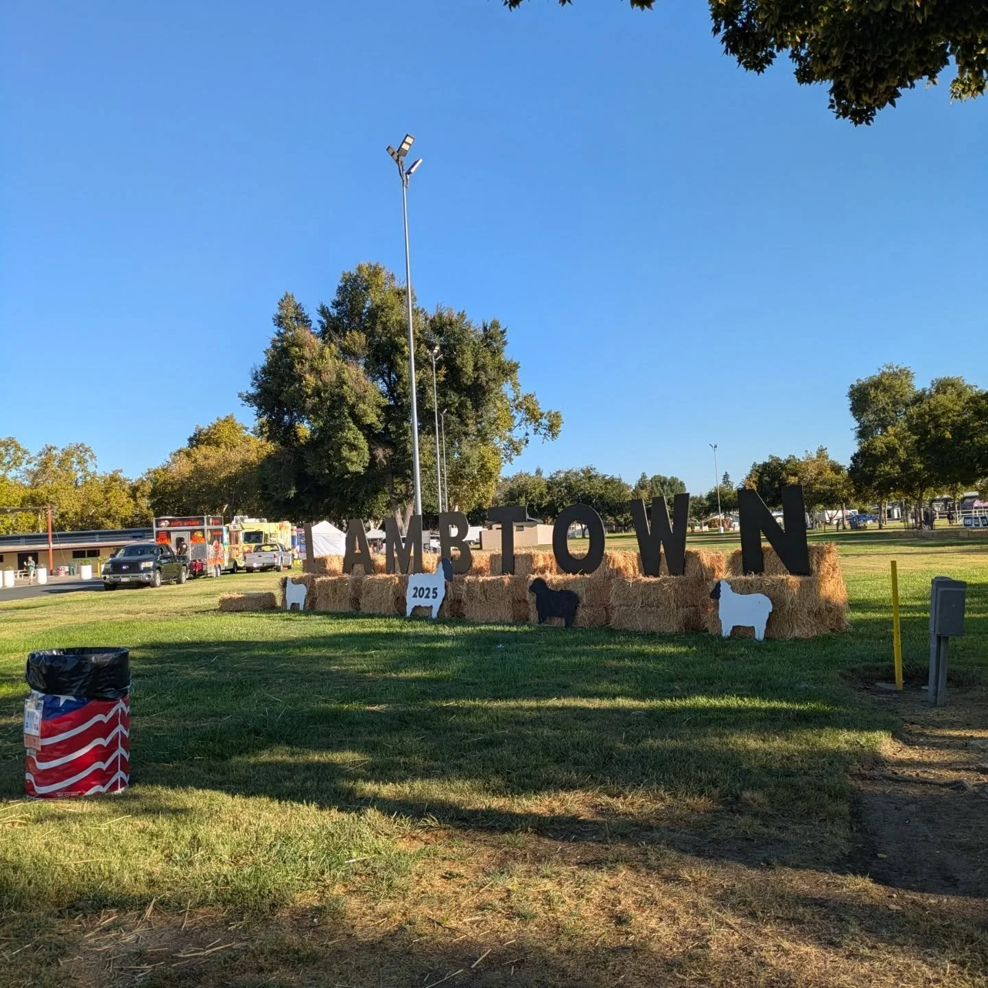 I'm having an excellent time at Lambtown and I'm so glad I came! Lois and I are sharing the joy of farm direct wool with everyone. The Ghost looks amazing in the morning sunshine.
#lambtownfestival #oregonwool #lwsmajesticghost
