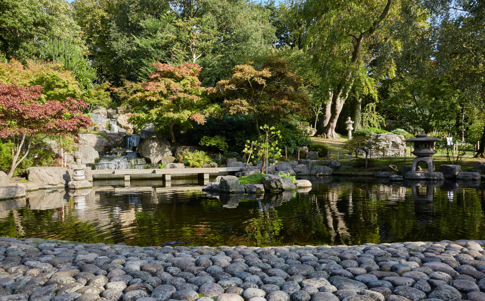 Waterfall and pond in the Kyoto Garden, Holland Park, moments from Holland Park Gate in Kensington, London