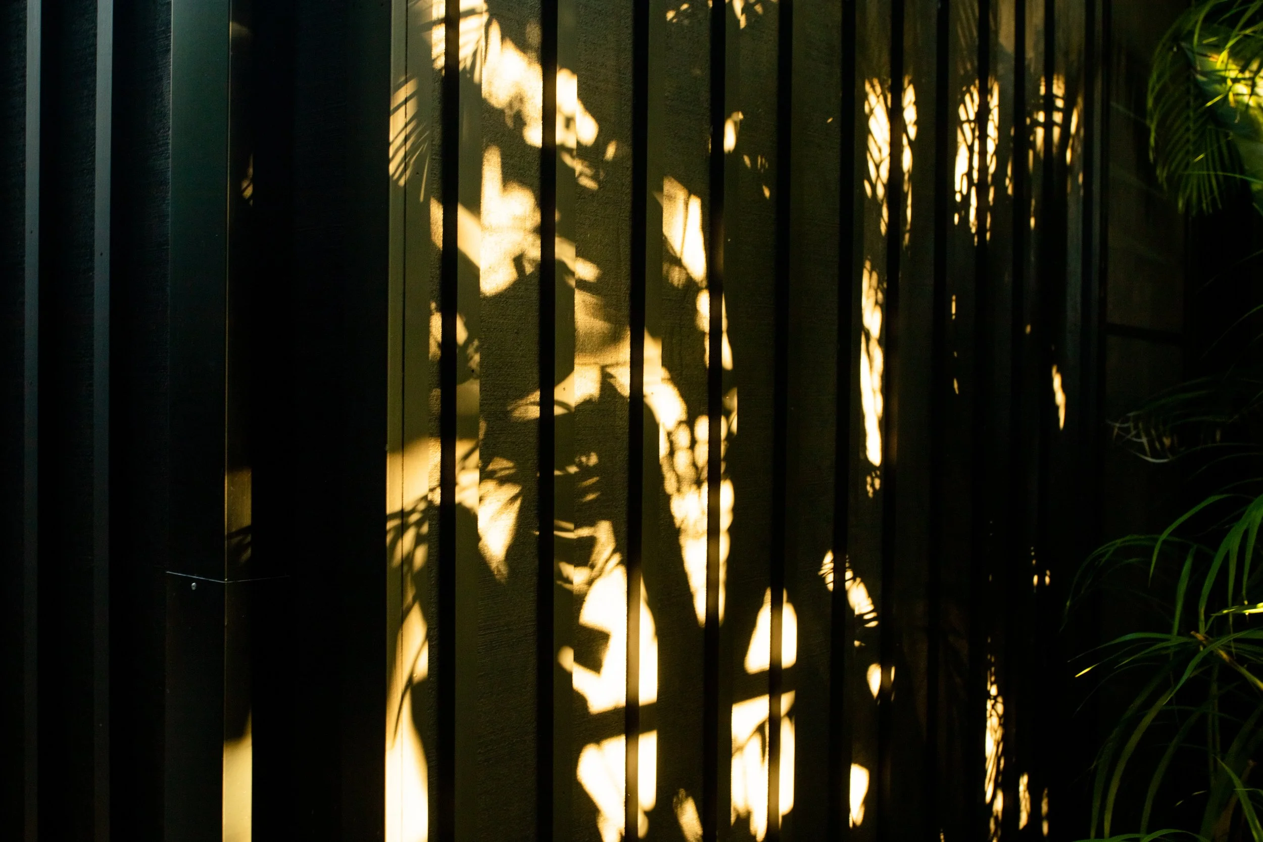 Sunlight shining through a metal fence, casting shadows of leaves and plants on a wall.