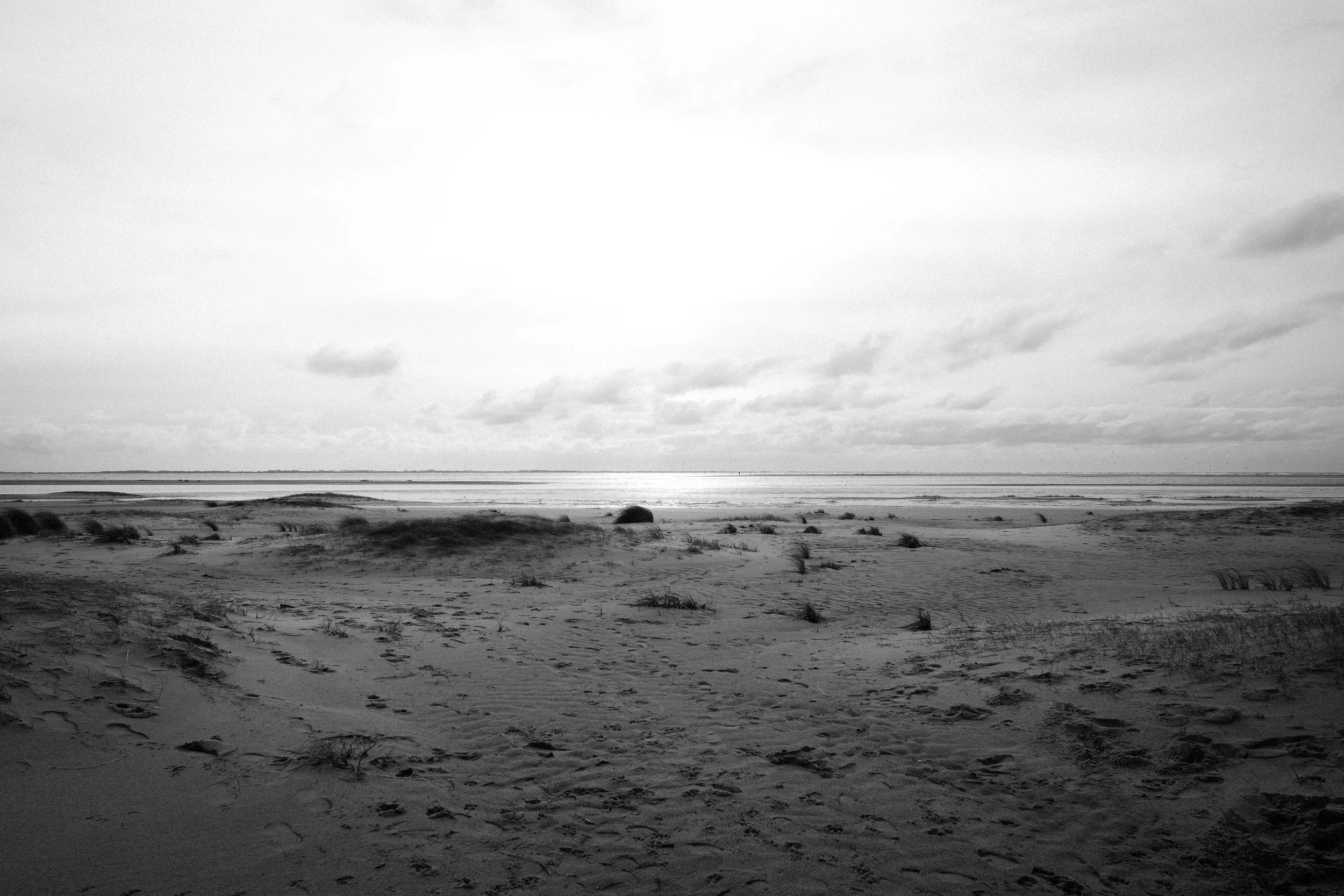 _DSF0780 (1).jpg