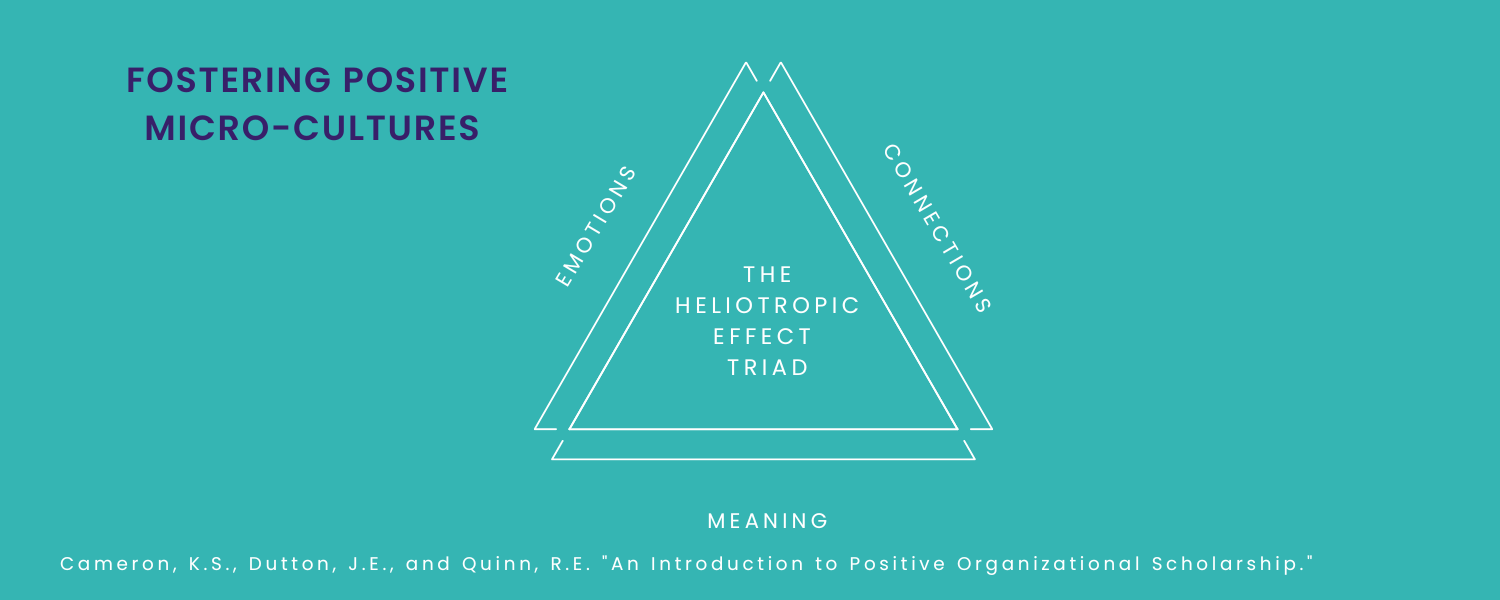 How to Build Thriving Micro-cultures In Stressful Work Environments ...
