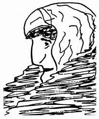 You are not your MRI