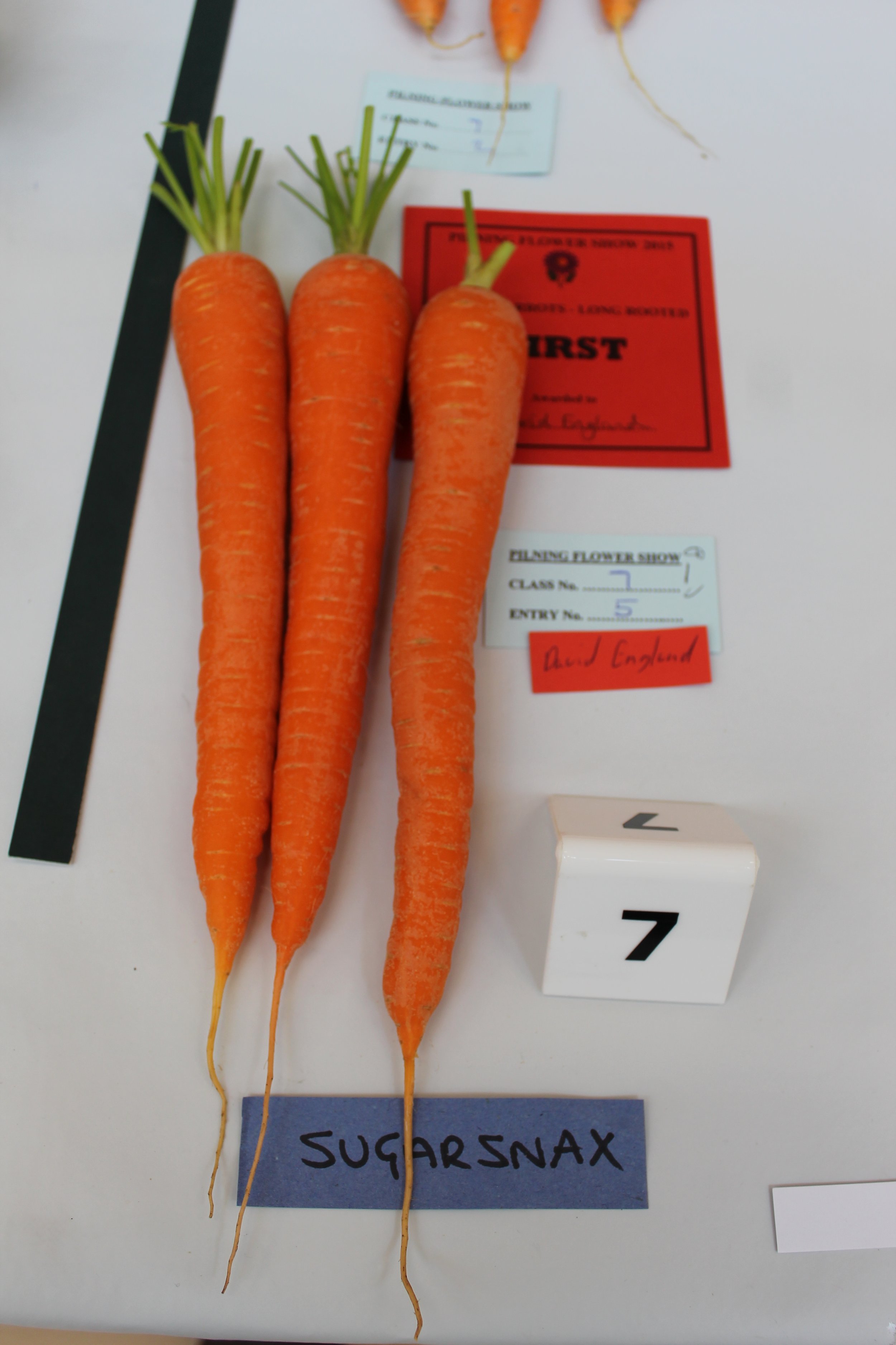 Class 7 Carrots Long Rooted.JPG