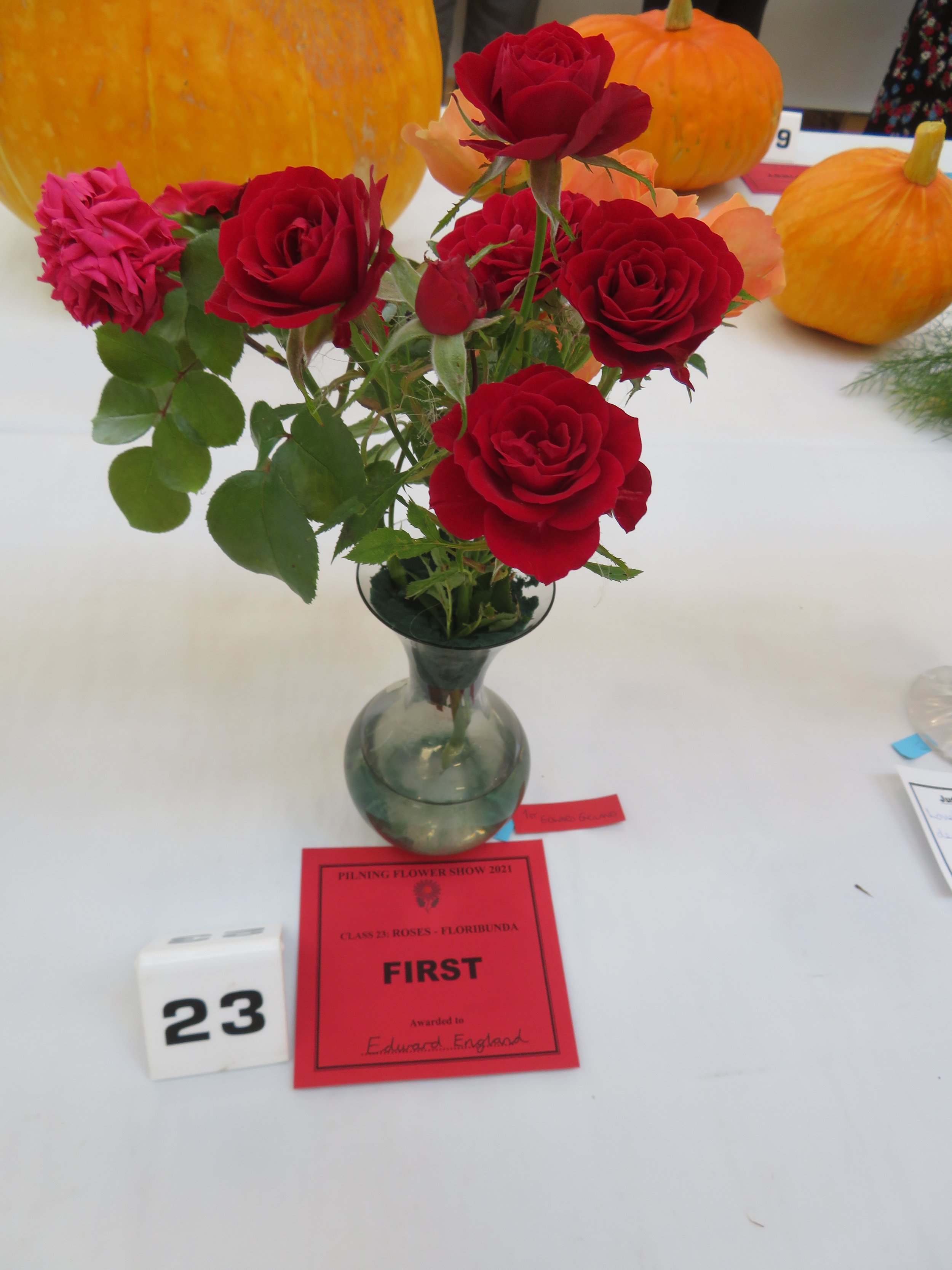 Class 23 Roses - Floribunda (3 stems of multiple flowers).JPG