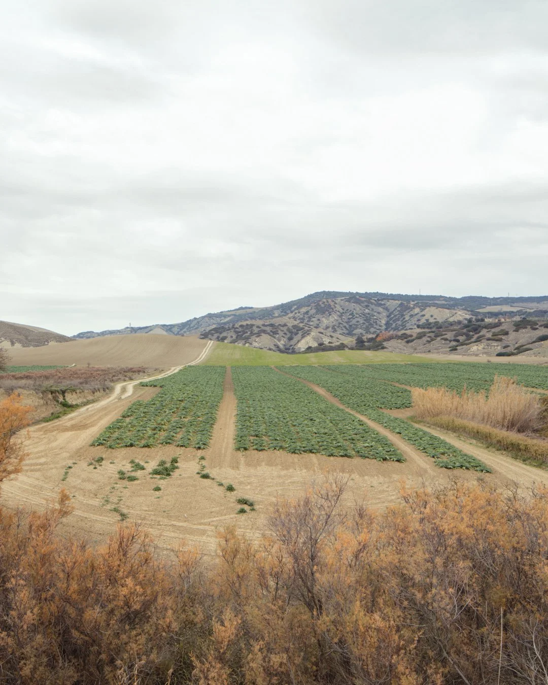 Arcipelago Italia . Basilicata . 2018

for
@labiennale 
@mario_cucinella_architects