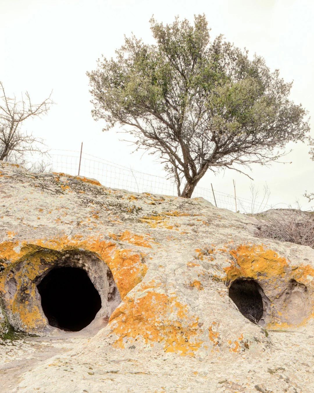 Arcipelago Italia . Sardegna . 2018

for
@labiennale 
@mario_cucinella_architects
