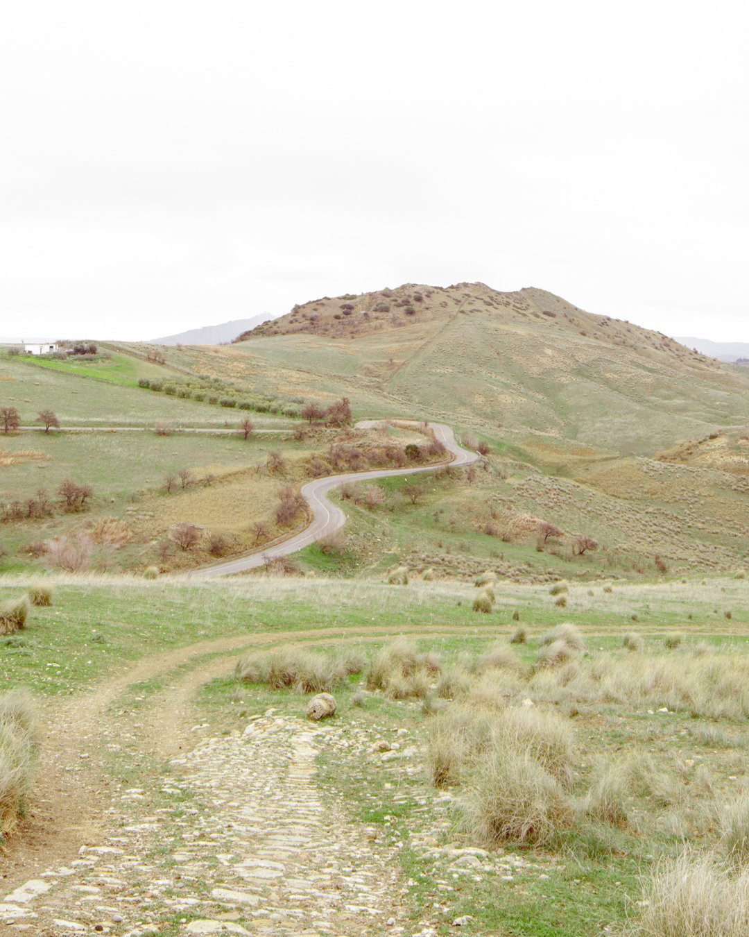 Arcipelago Italia . Basilicata . 2018

for
@labiennale 
@mario_cucinella_architects