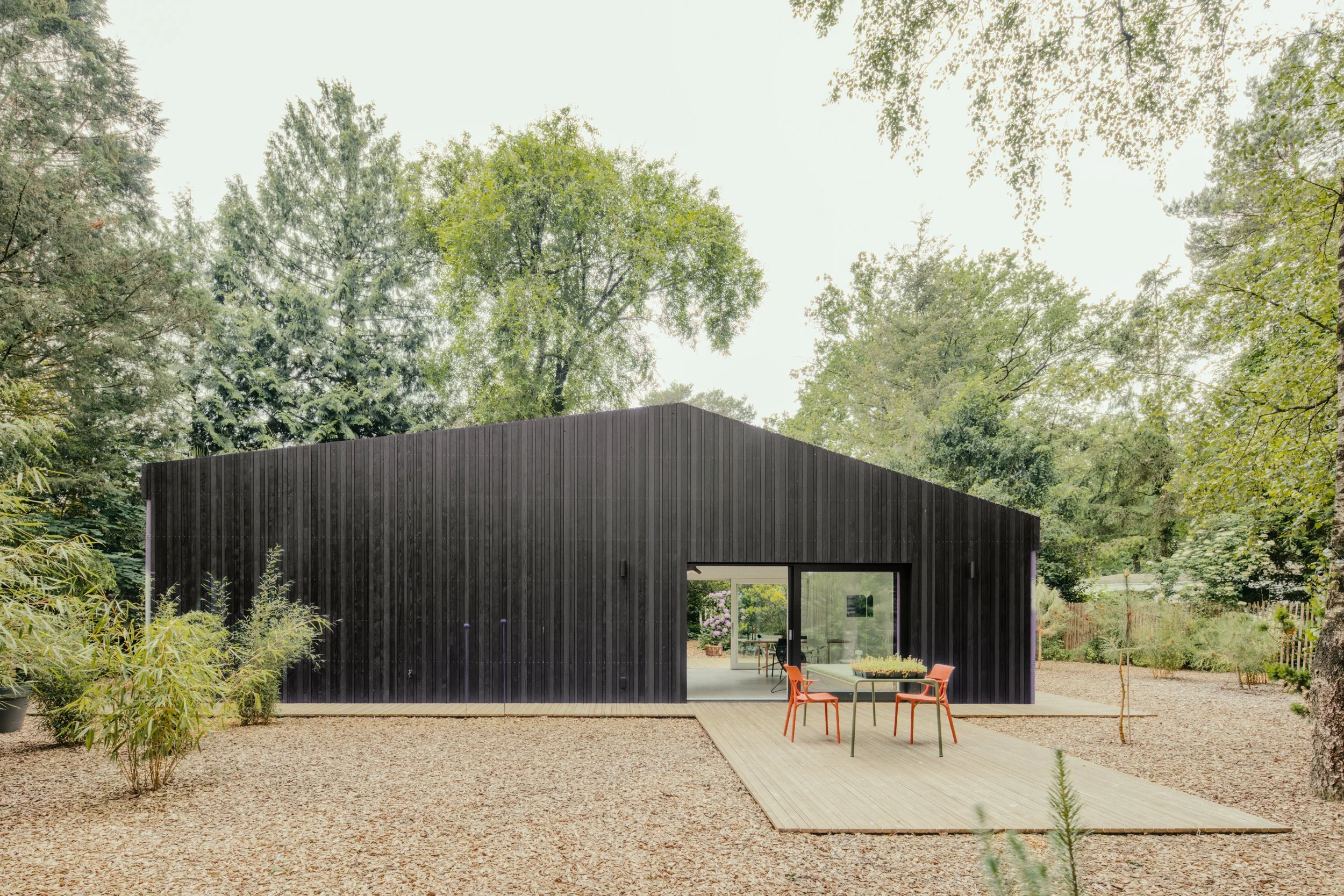 Alessandro Guida-1-3.jpg