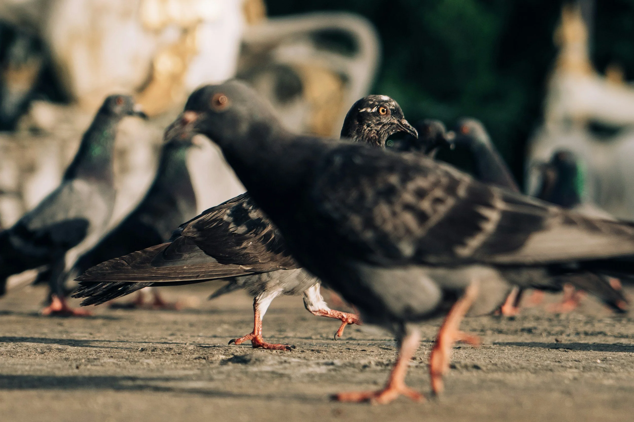 unsplash-image-kE96M26jJK8.jpg