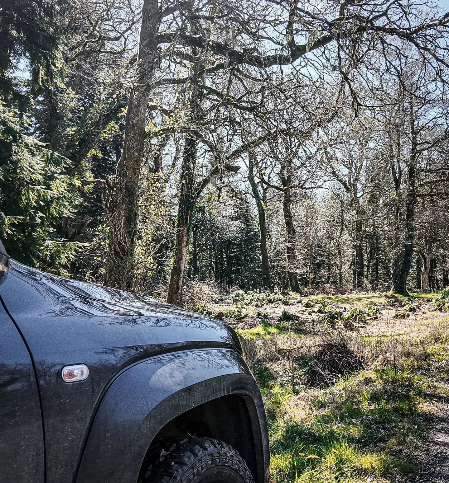 From rhododendron on Dartmoor to solar farms across Dorset. A busy week surveying Deer Impacts and treating Rhododendron. 

#contractor #consultancy #Environmental #Conservation #Ecologist