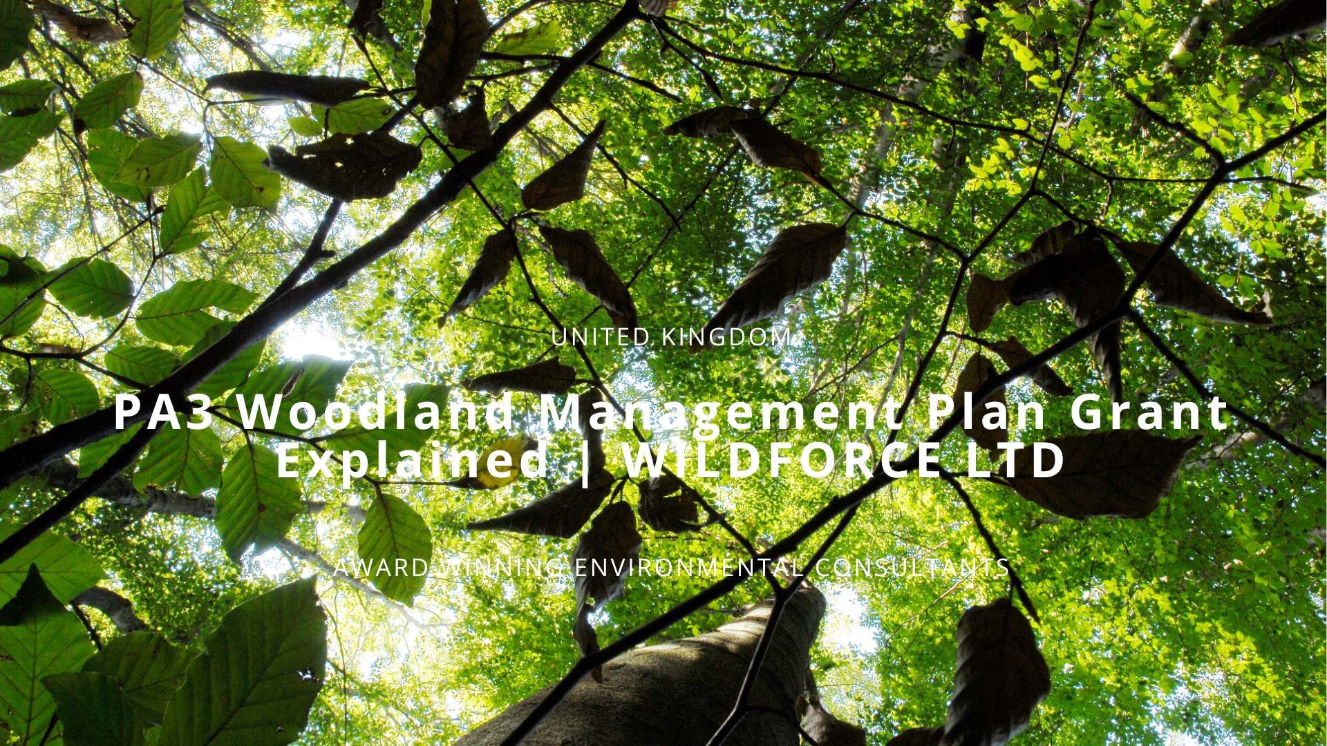 PA3 Woodland Management Plan Grant Explained | WILDFORCE LTD