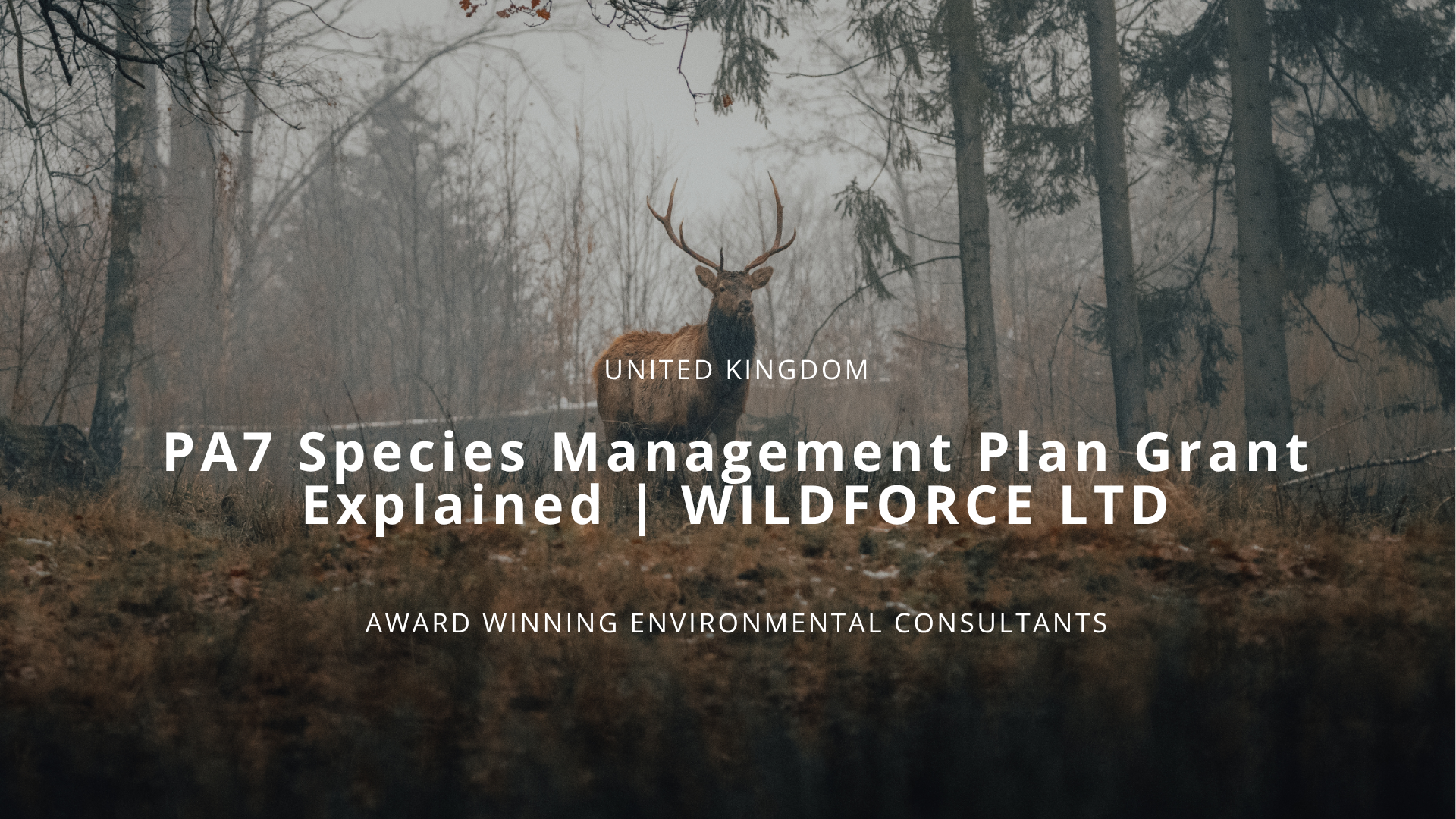 PA7 Species Management Plan Grant Explained | WILDFORCE LTD
