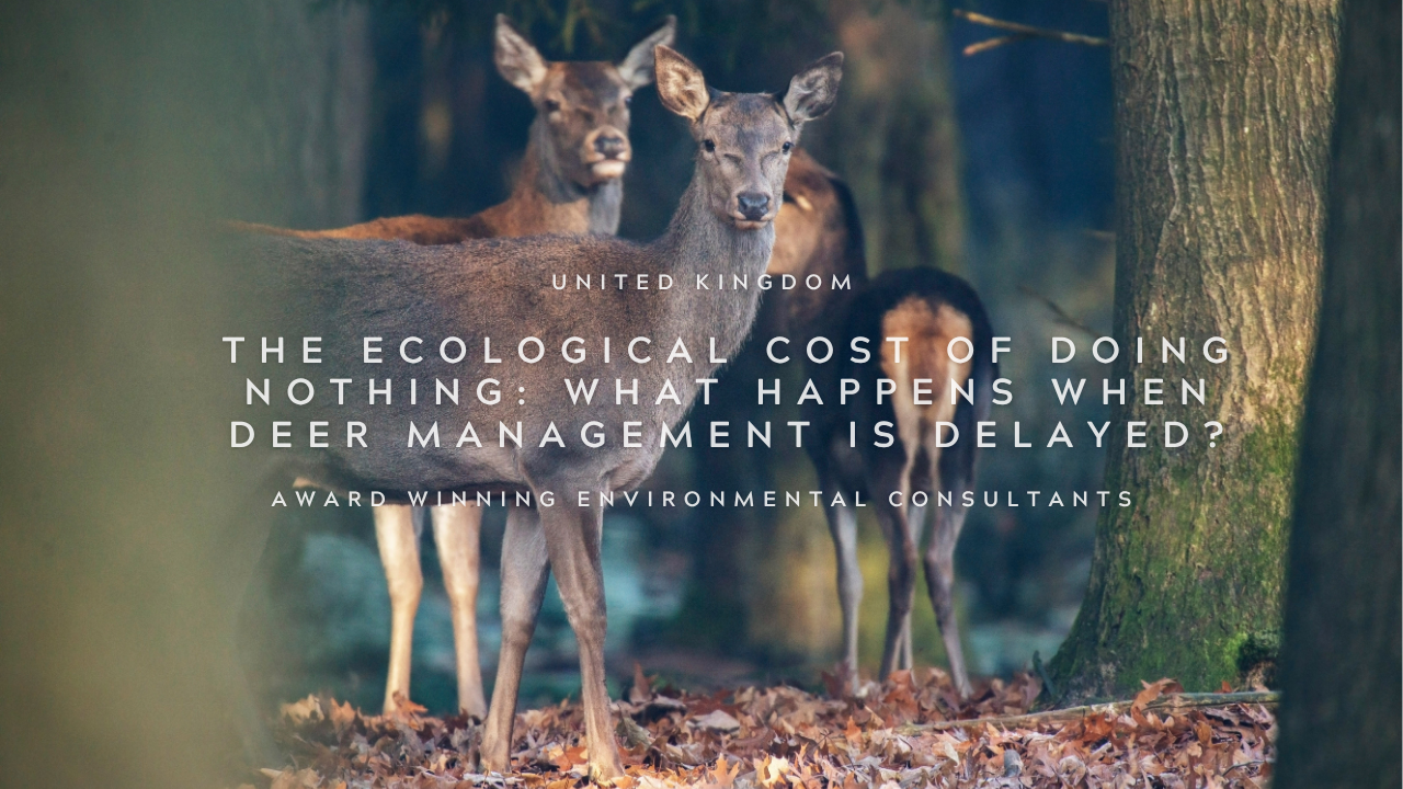 The Ecological Cost of Doing Nothing: What Happens When Deer Management Is Delayed?