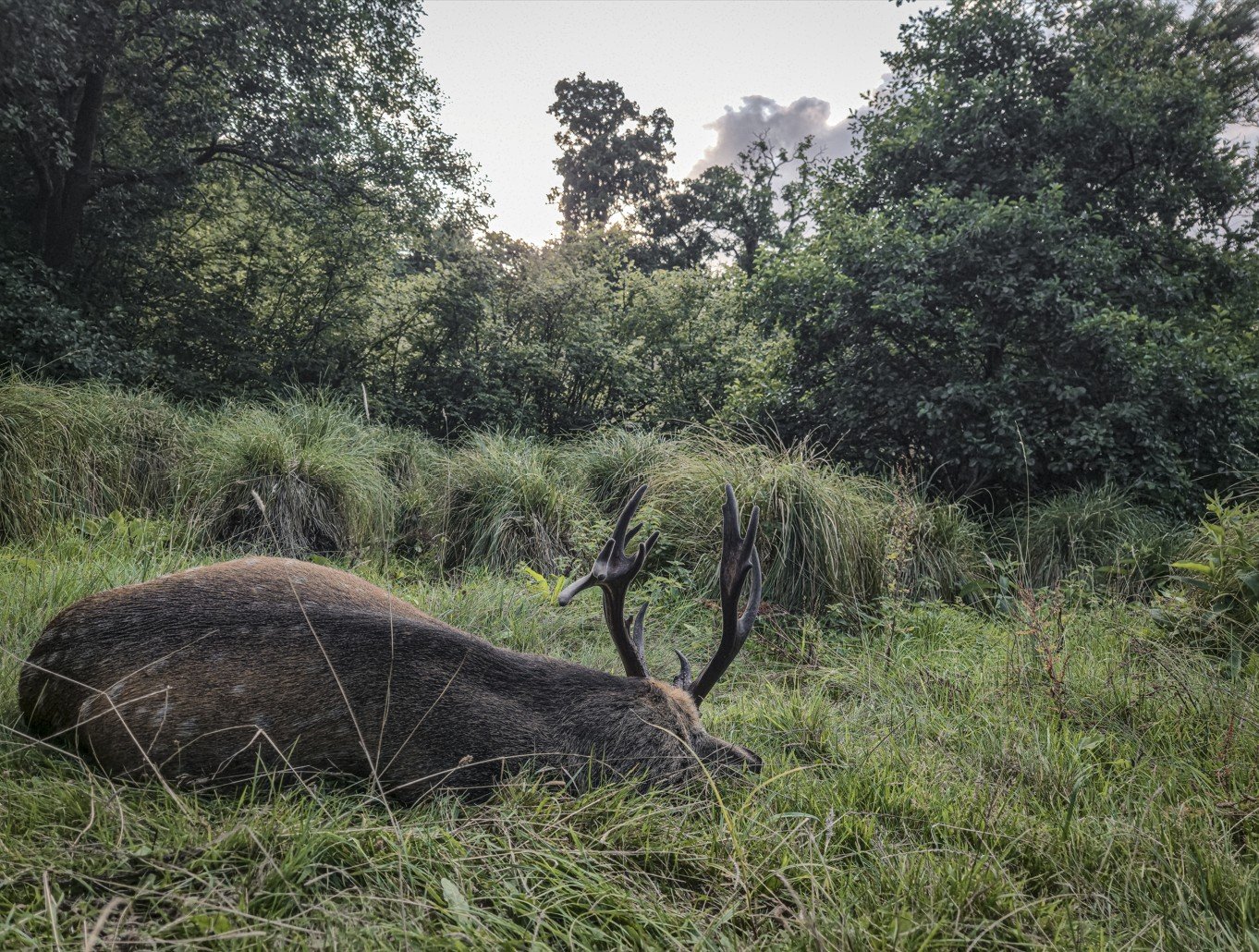 20250809_193122 (3).jpg