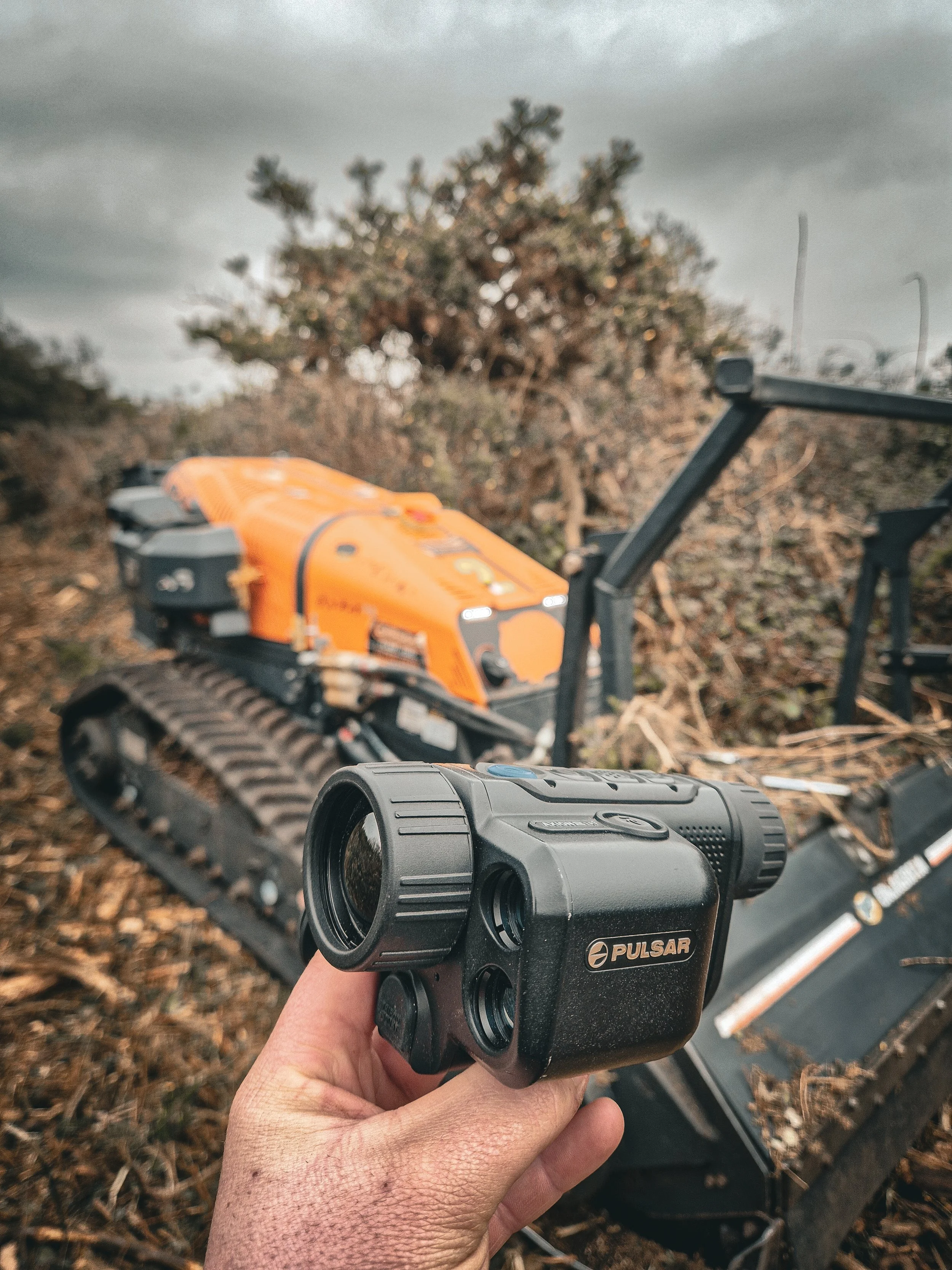 ECOLOGICAL SURVEYING: BIRD NESTING SURVEYS