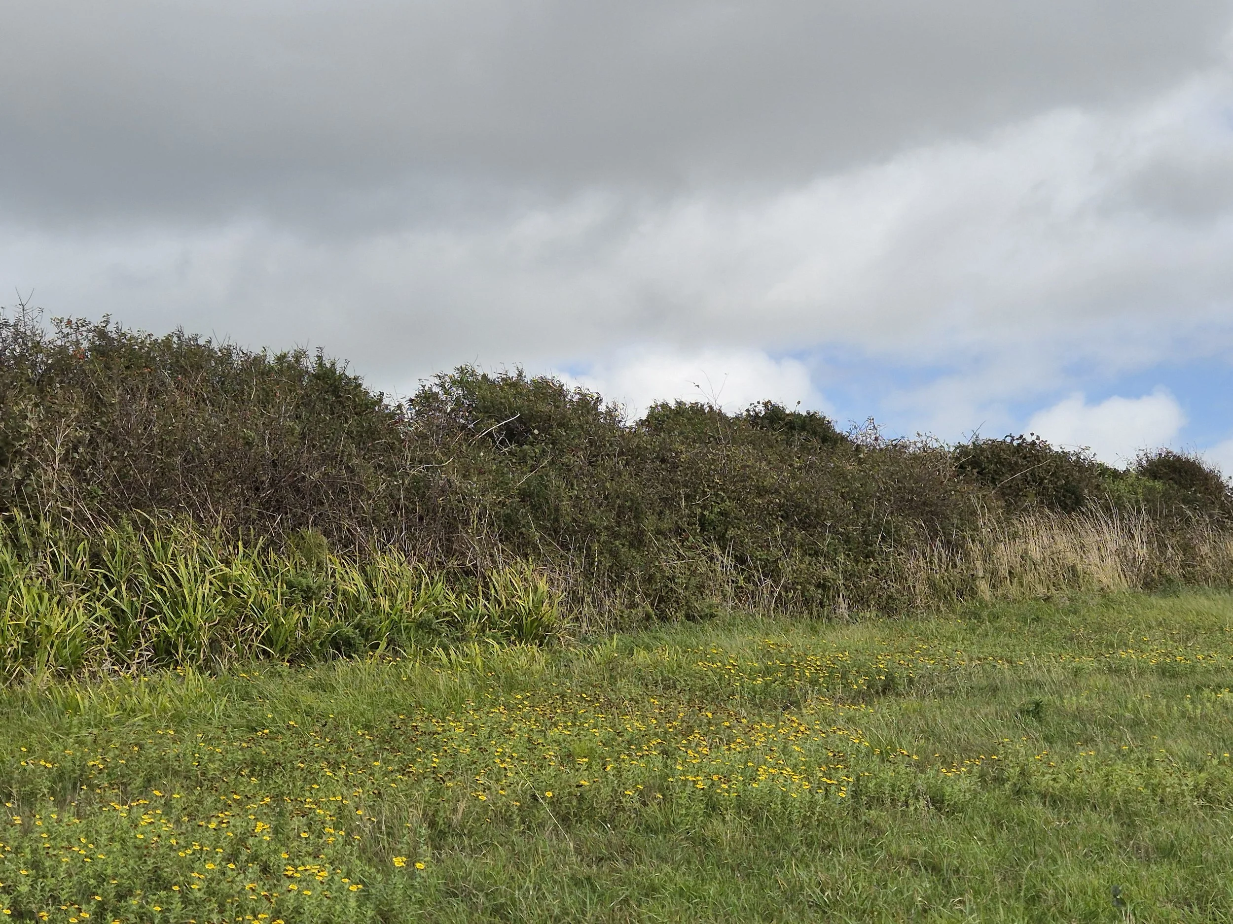 20250912_152034 (2).jpg