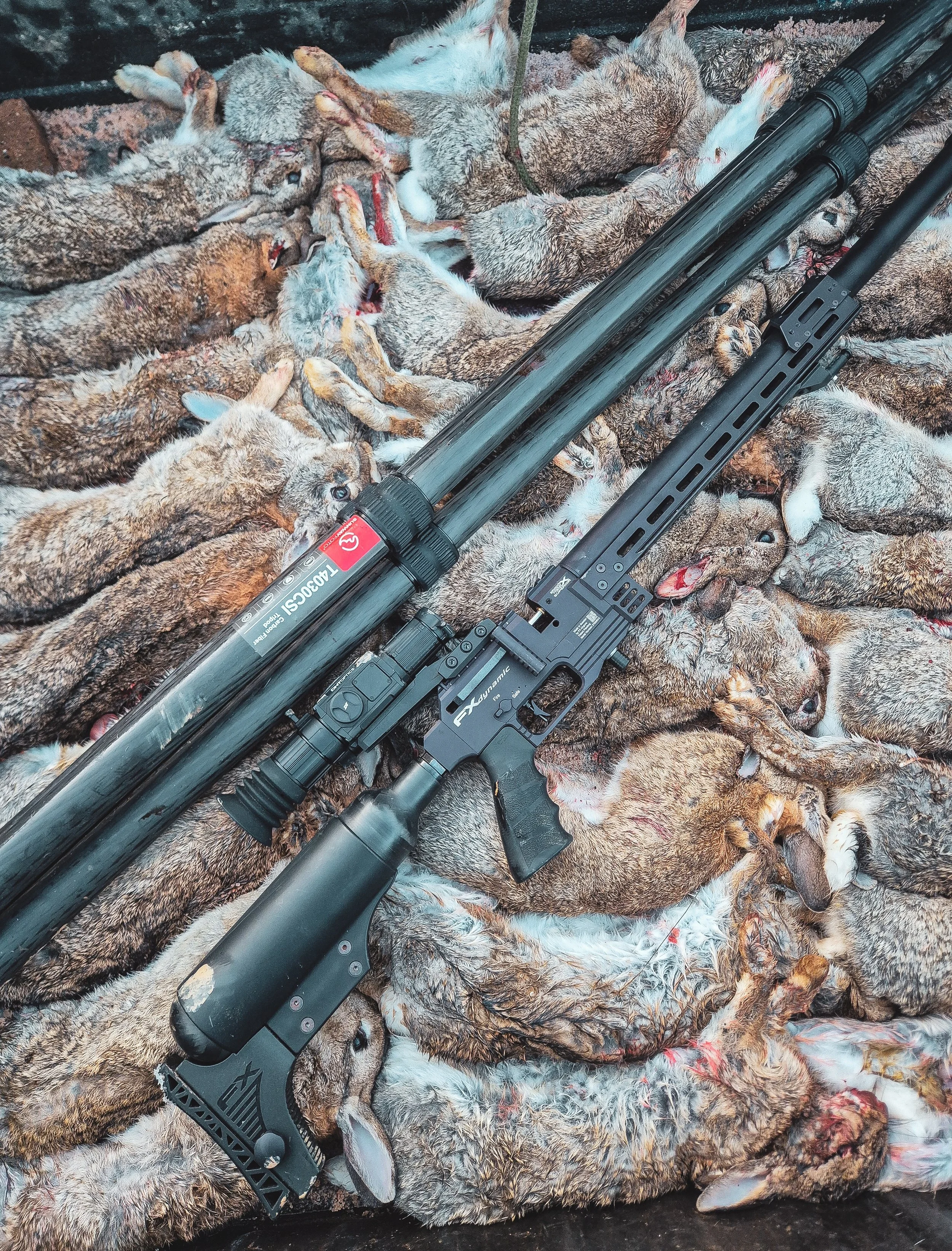 RABBIT CONTROL & MANAGEMENT