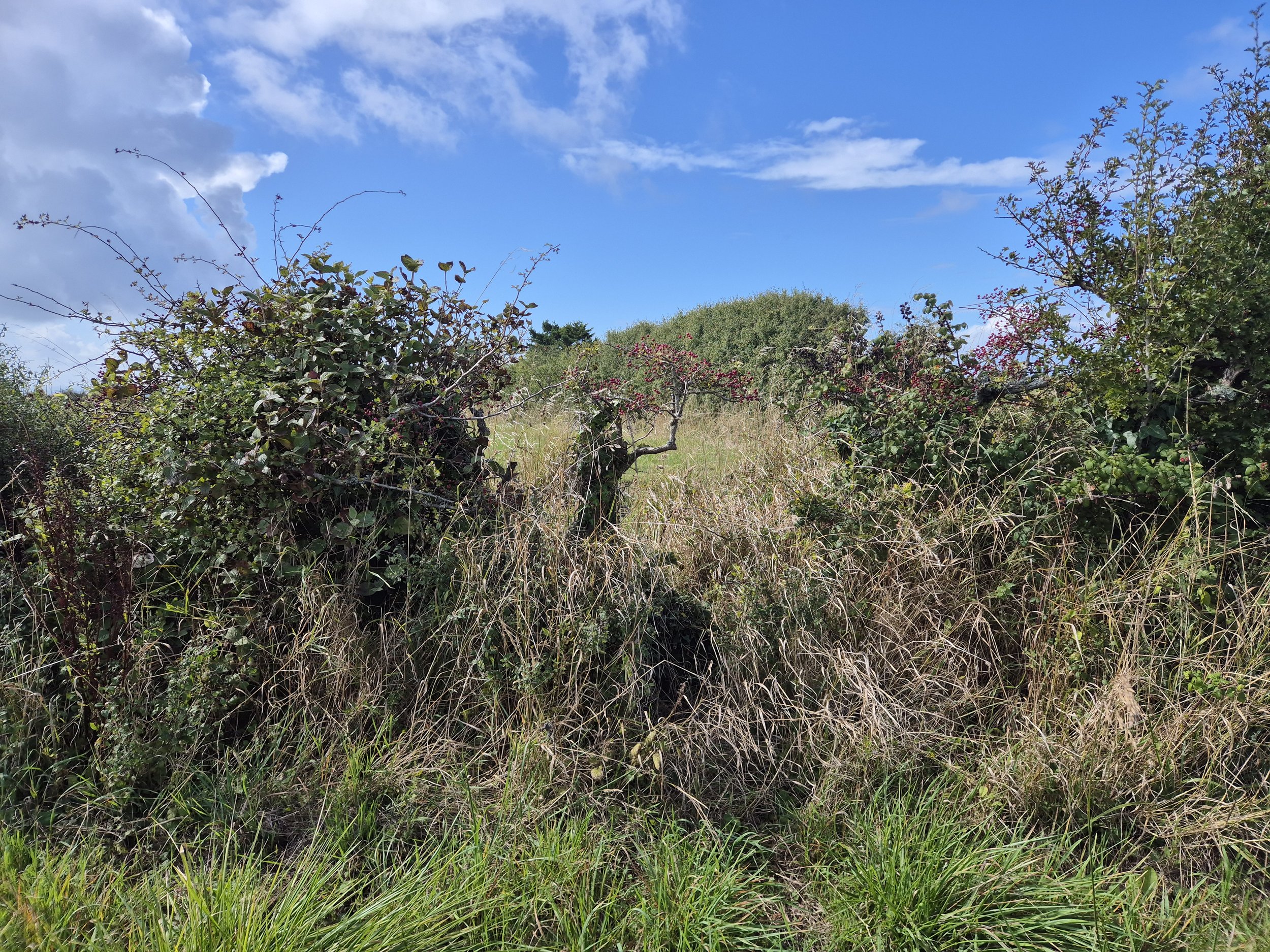 20250912_115349 (2).jpg