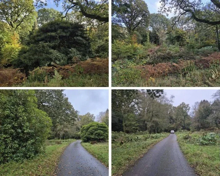 Screenshot 2026-04-28 140150.jpg