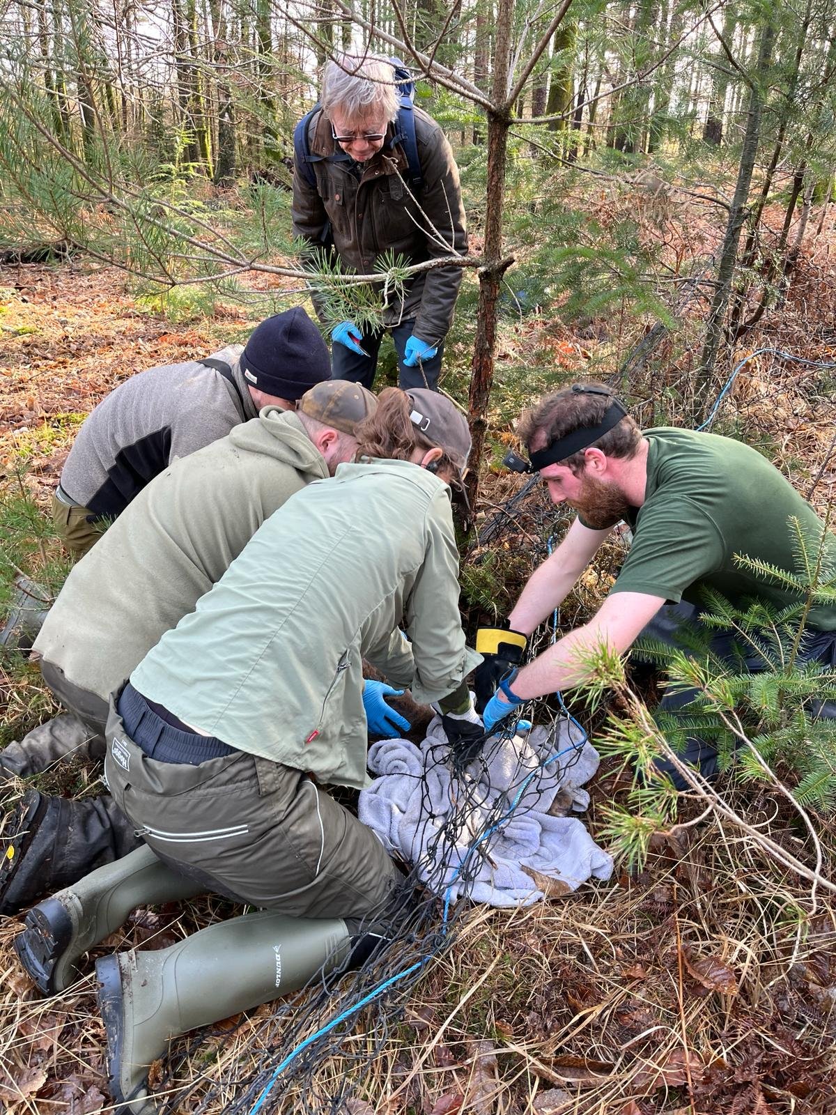 IMG-20240215-WA0005 (2).jpg