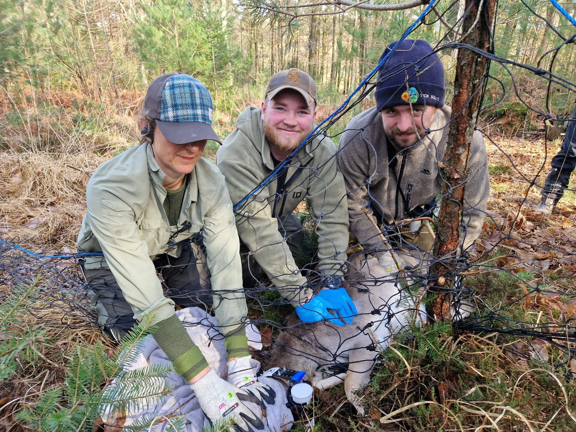 TICKSOLVE – NATIONAL TICK‐BORNE DISEASE RESEARCH