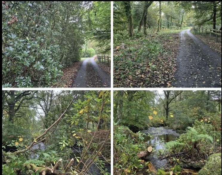 Screenshot 2026-04-28 140212.jpg