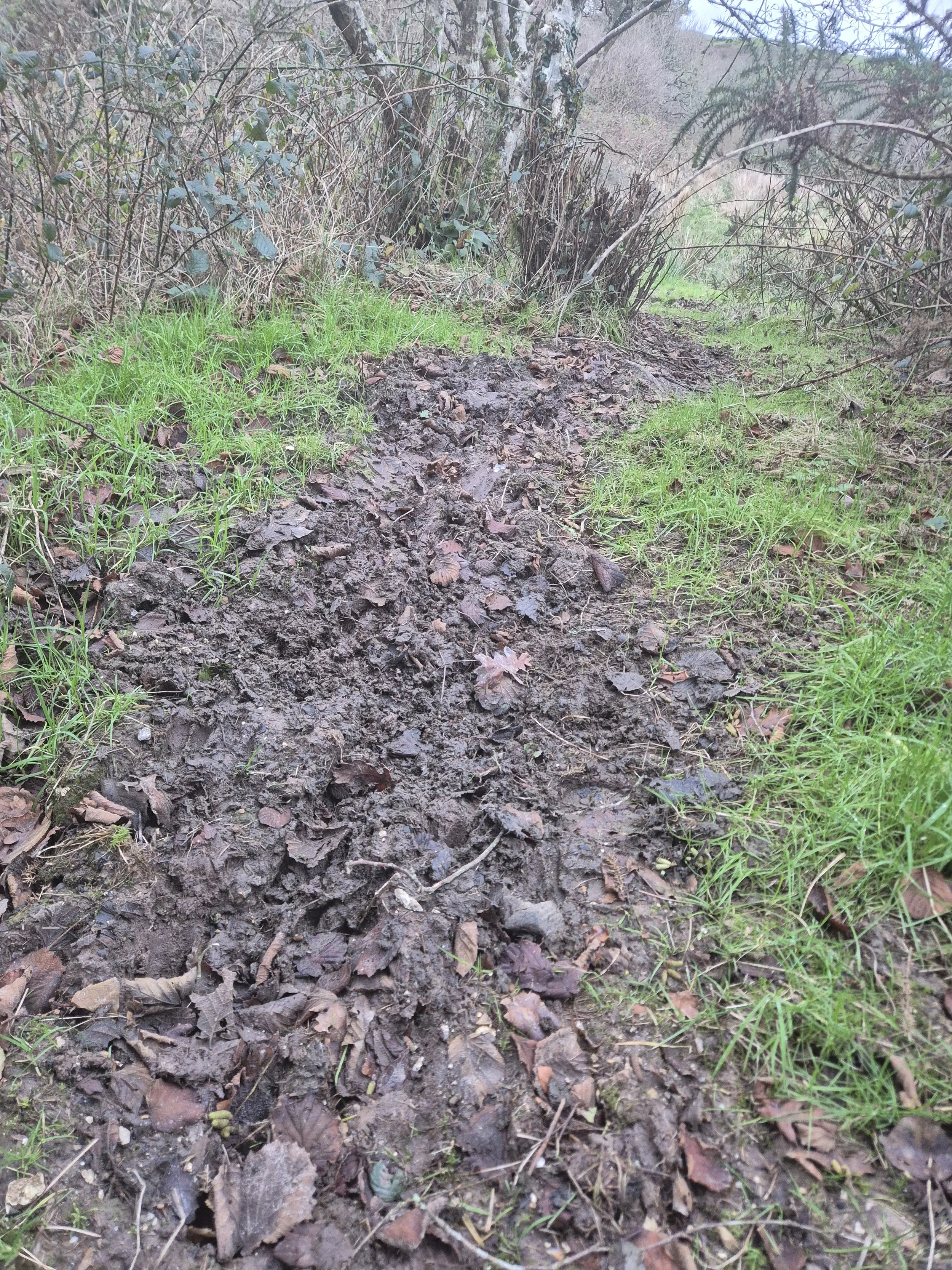 20241230_145416 (2).jpg