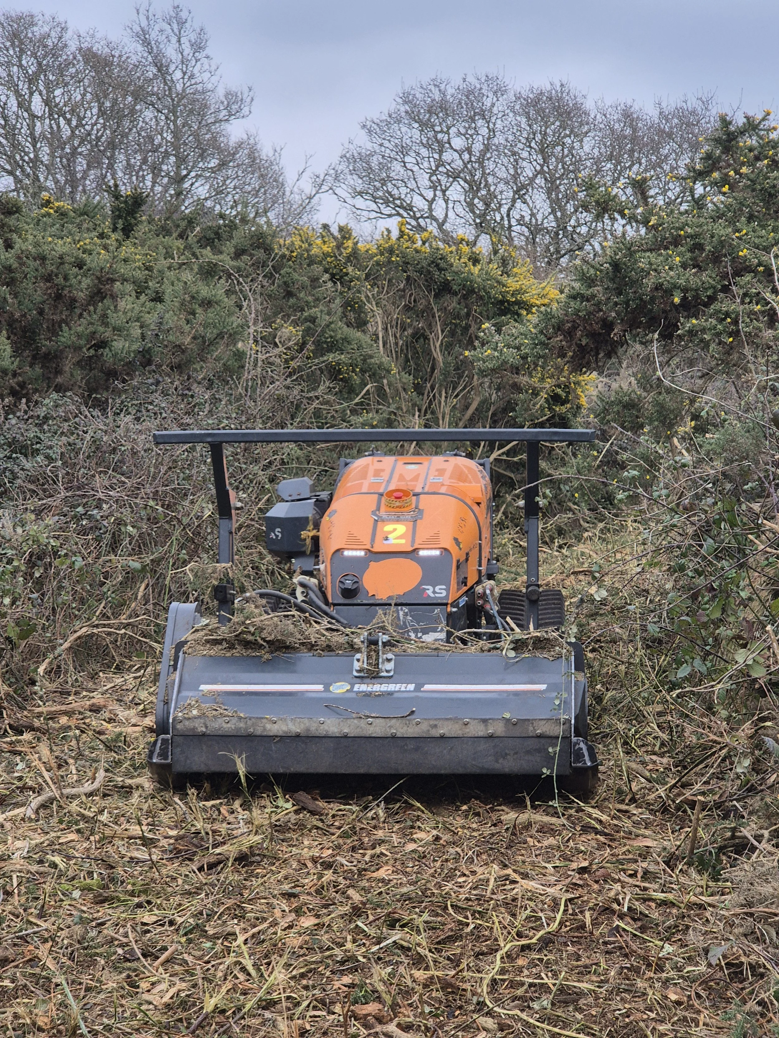 20250211_145946 (2).jpg