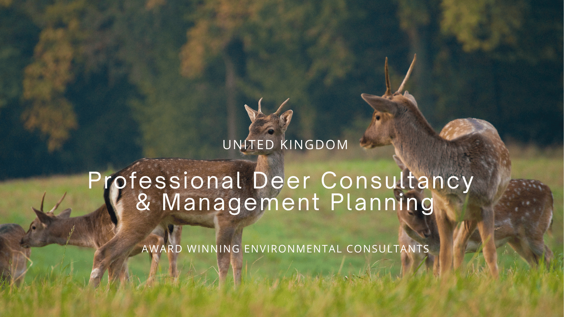 A group of young deer in a grassy field with trees in the background, overlaid with text promoting a deer consultancy business in the United Kingdom.