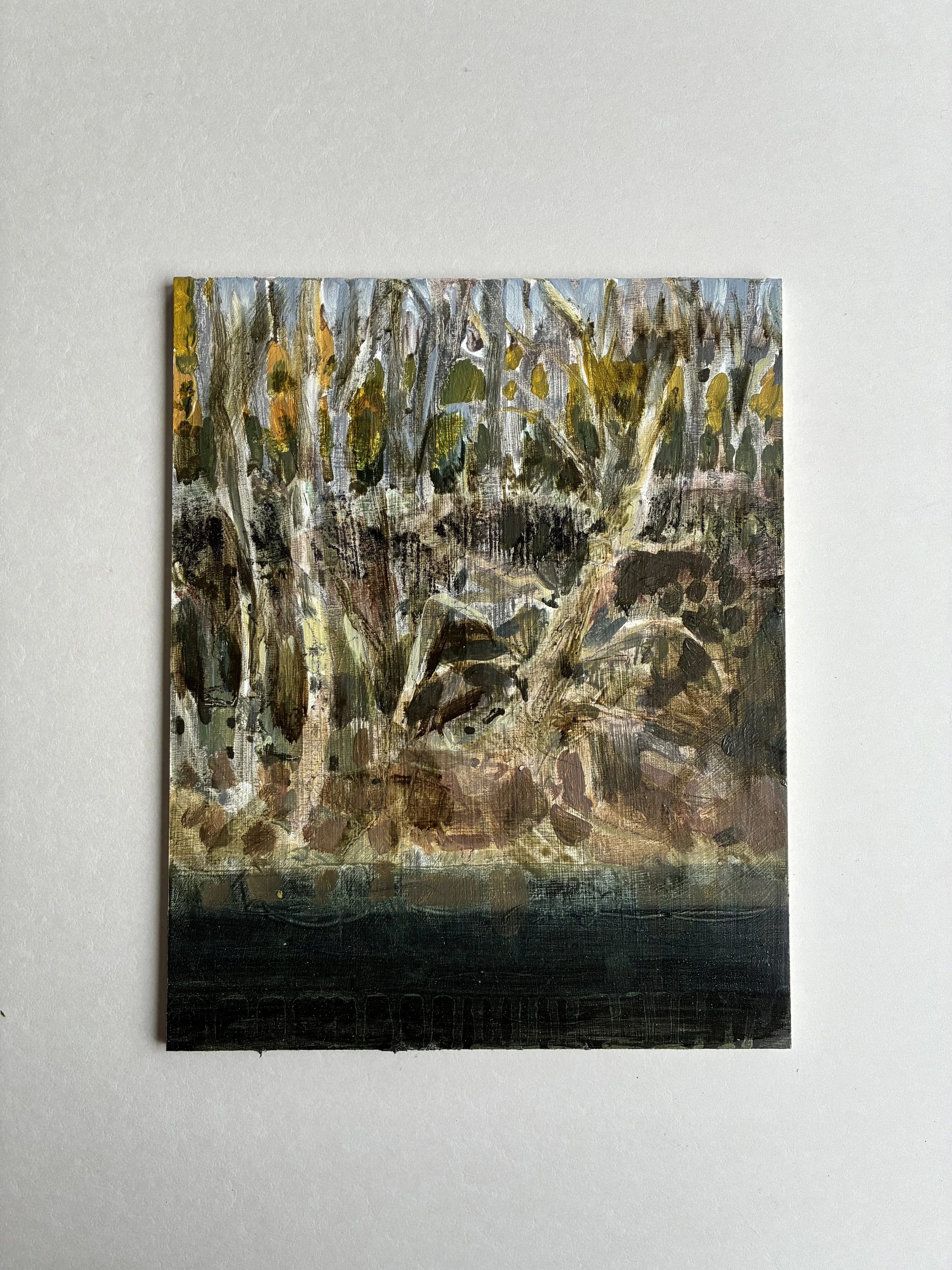 Otter's bank, Teviot